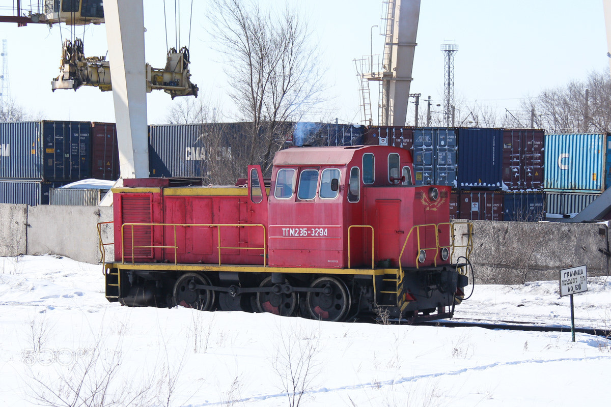 Canon EOS 700D (EOS Rebel T5i / EOS Kiss X7i) sample photo. ТГМ23Б-2394 photography