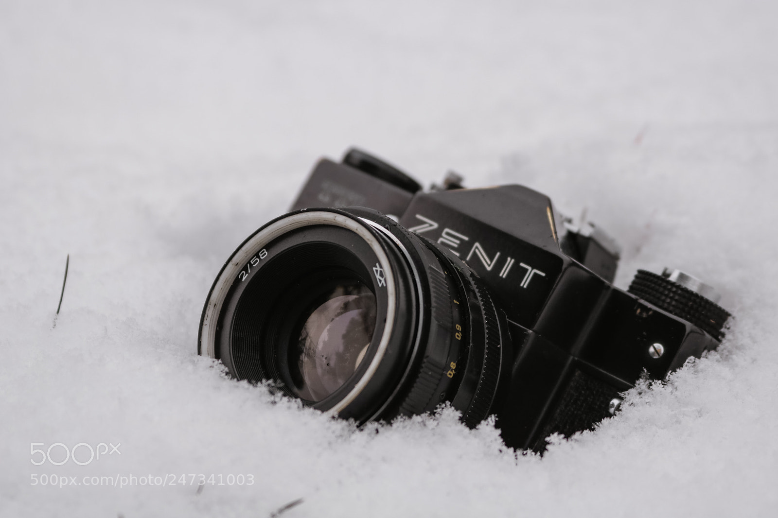 Canon EOS 750D (EOS Rebel T6i / EOS Kiss X8i) sample photo. Treasure in the snow photography