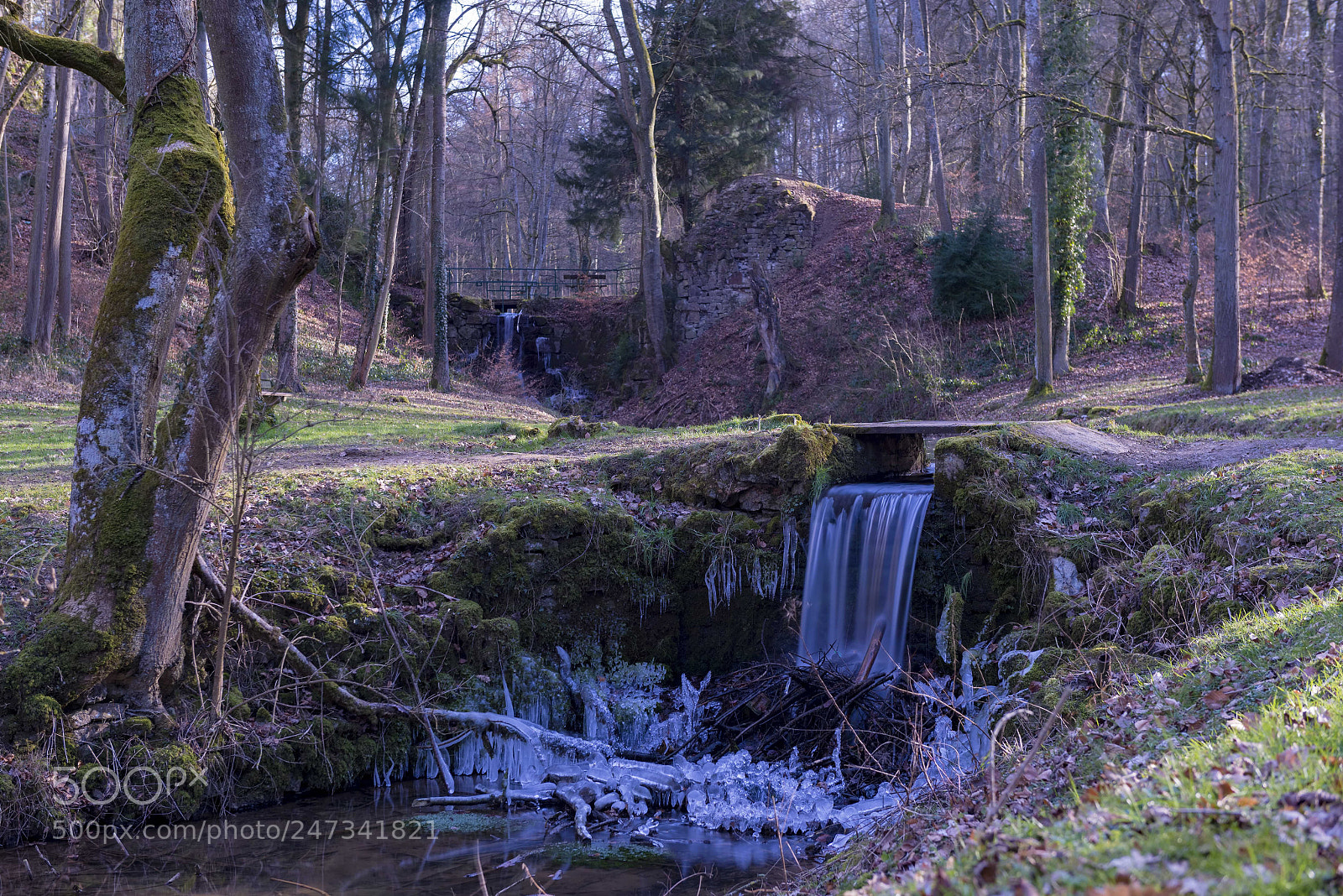 Nikon D800E sample photo. Parc castel saint pierre photography