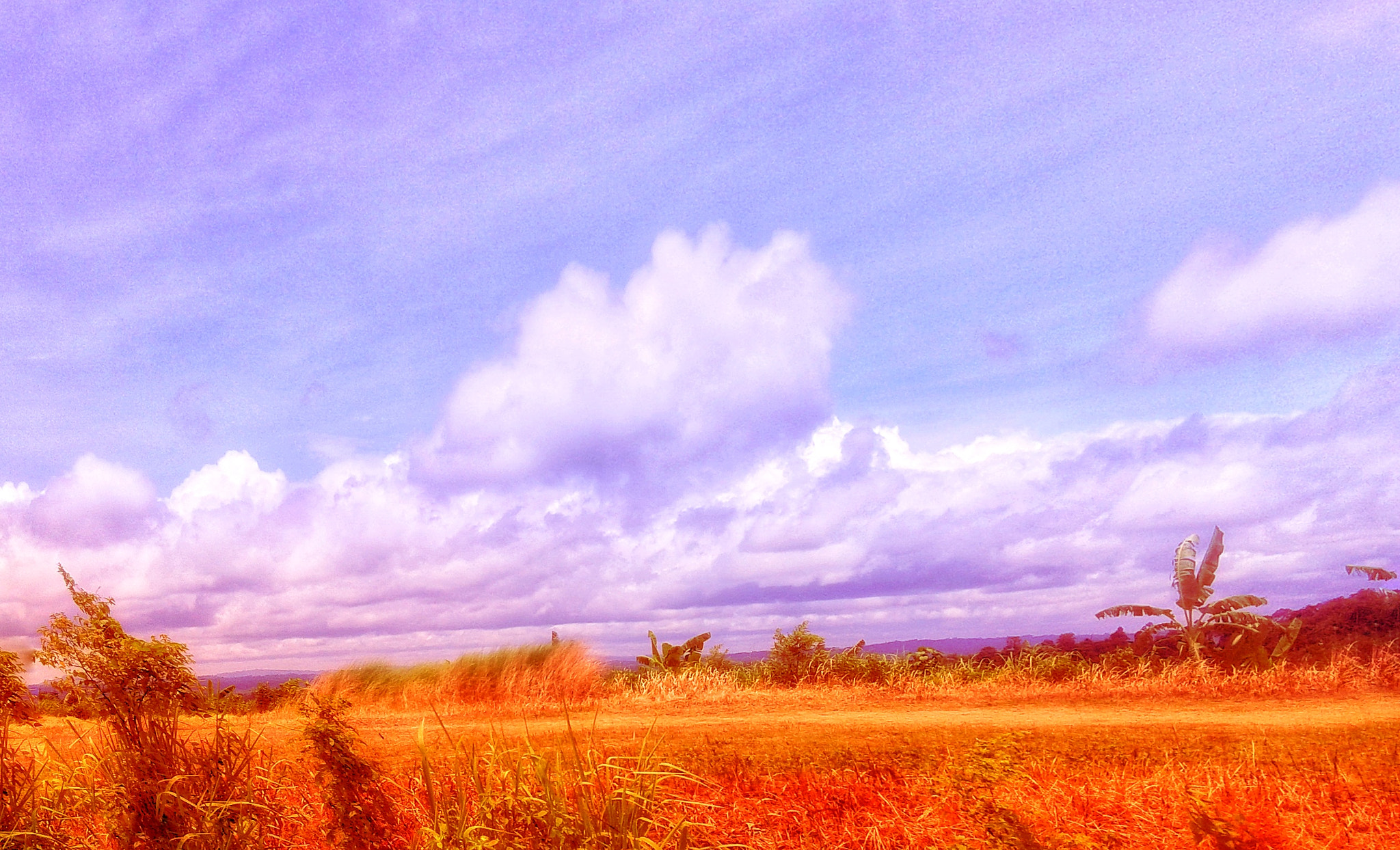 Samsung Galaxy Core sample photo. Blue sky photography