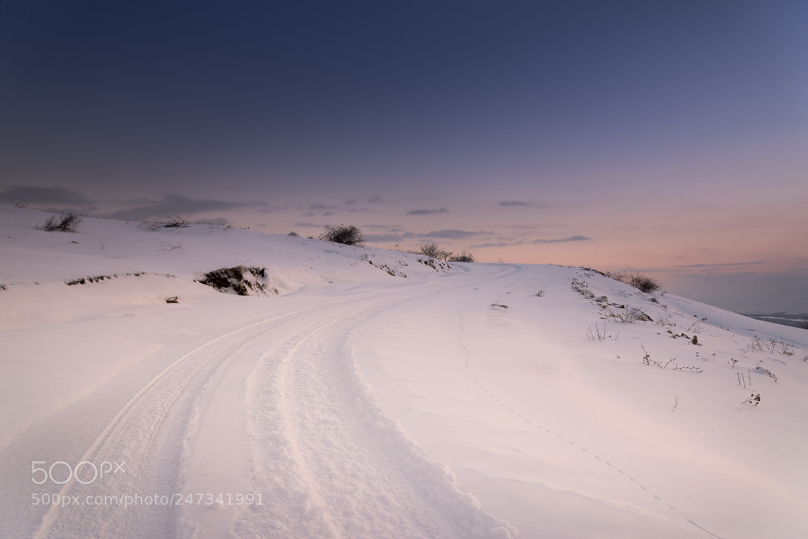 Nikon D610 sample photo. Winter time photography