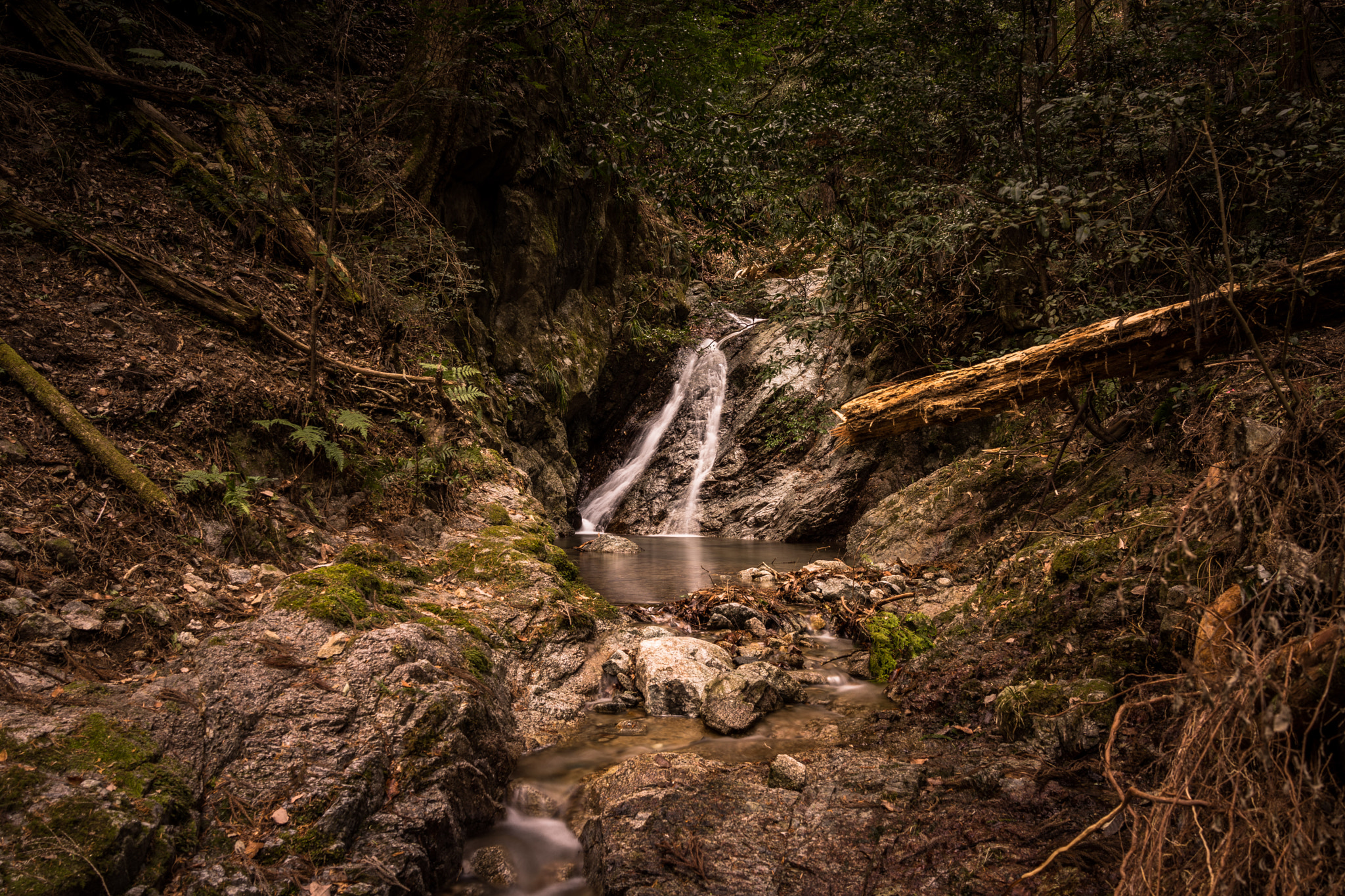 Sony Cyber-shot DSC-RX1R sample photo. Tight flow photography
