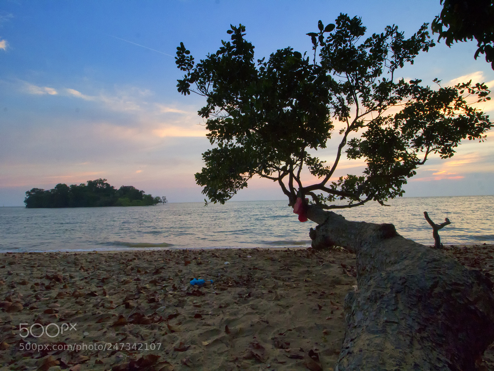 Canon EOS 700D (EOS Rebel T5i / EOS Kiss X7i) sample photo. Teluk gong photography