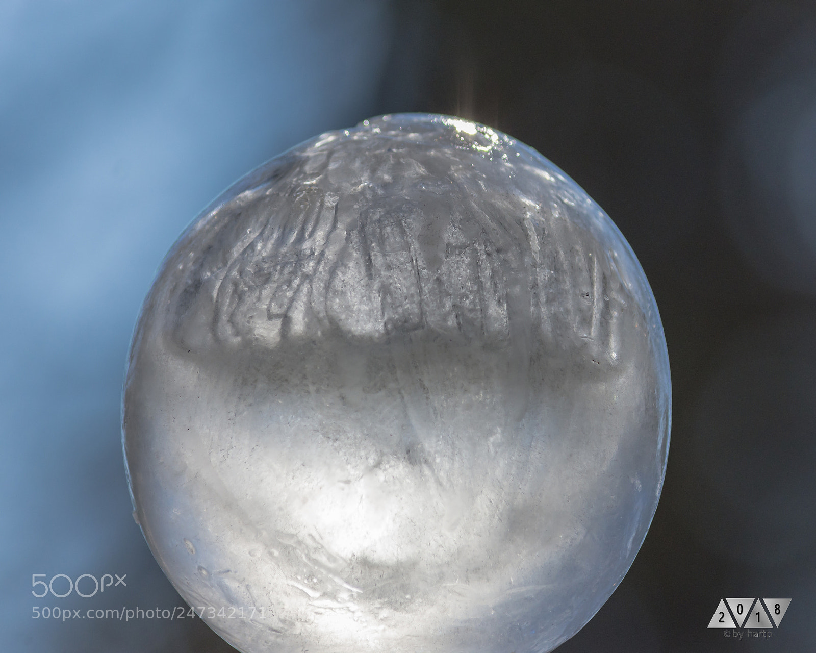 Nikon D7200 sample photo. Wasserkugel photography