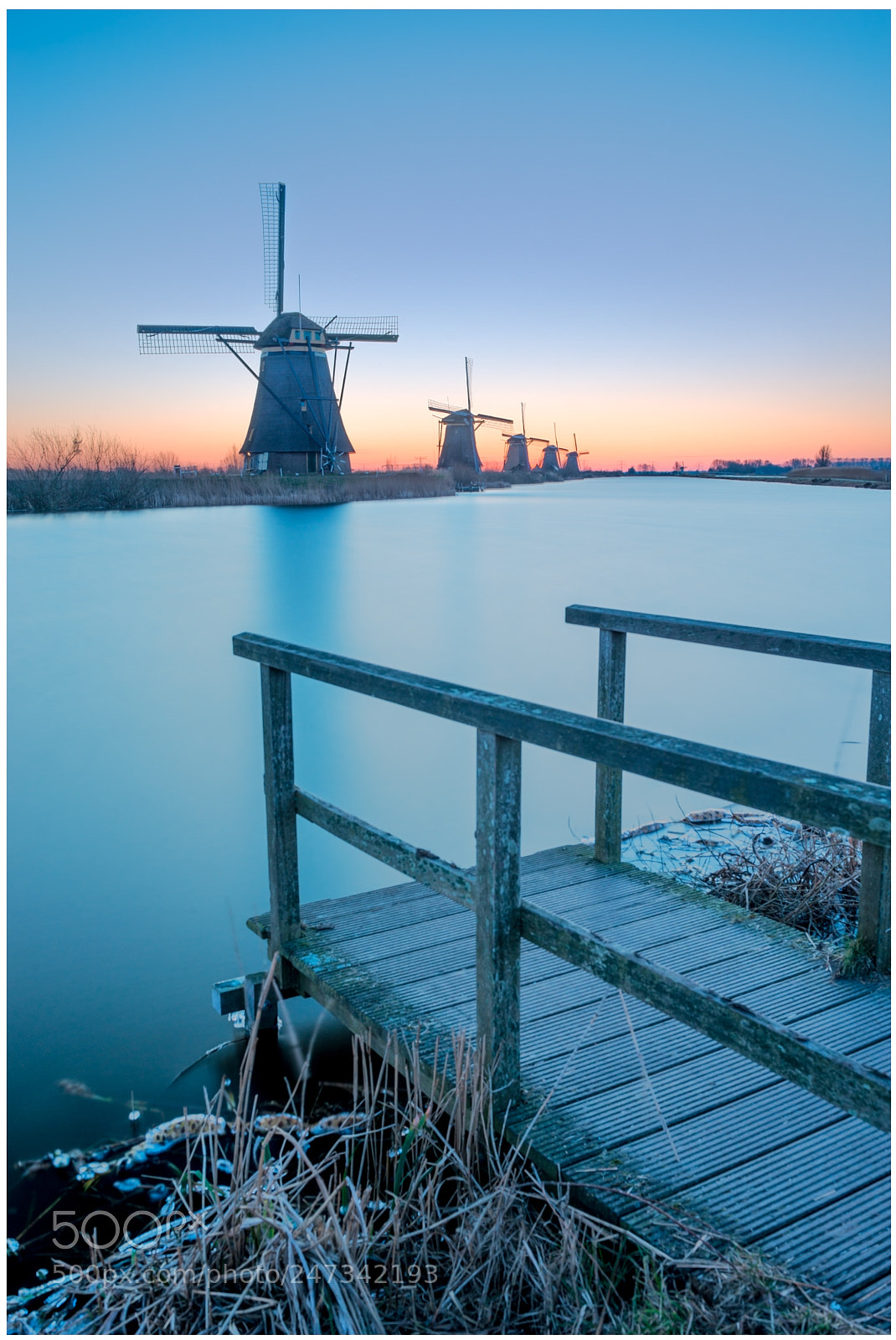 Nikon D800 sample photo. Kinderdijk photography