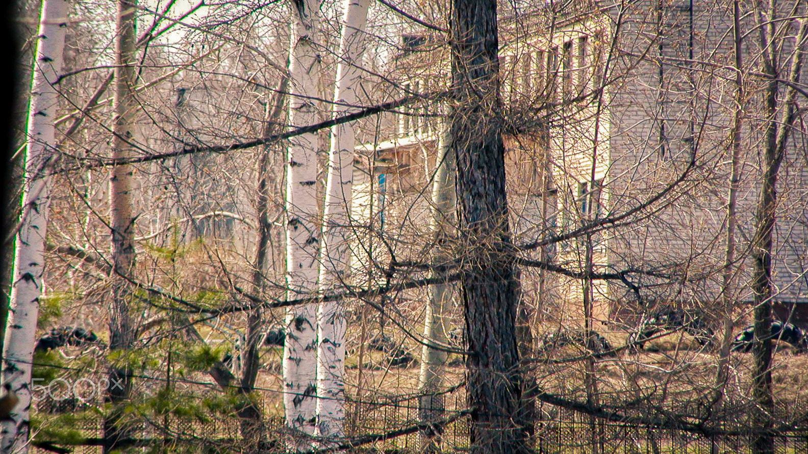 the building behind the trees