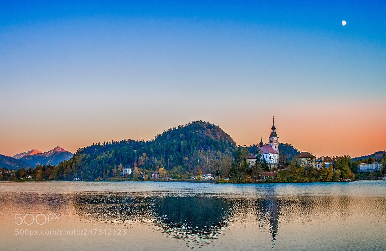 Nikon D610 sample photo. Lake bled and the photography