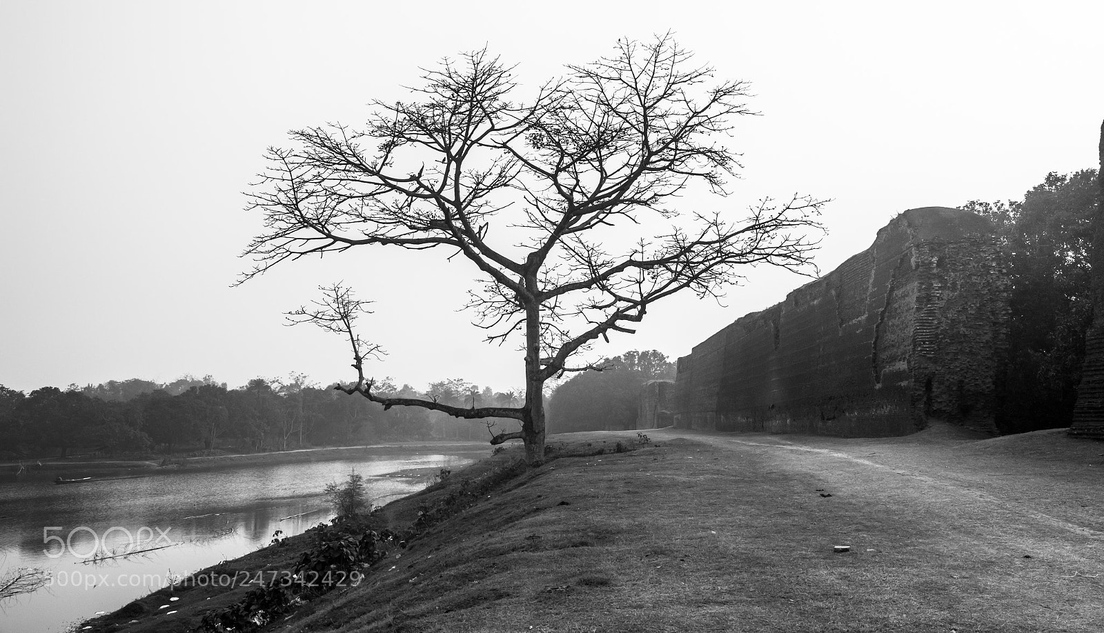 Canon EOS 550D (EOS Rebel T2i / EOS Kiss X4) sample photo. Gour #4 photography