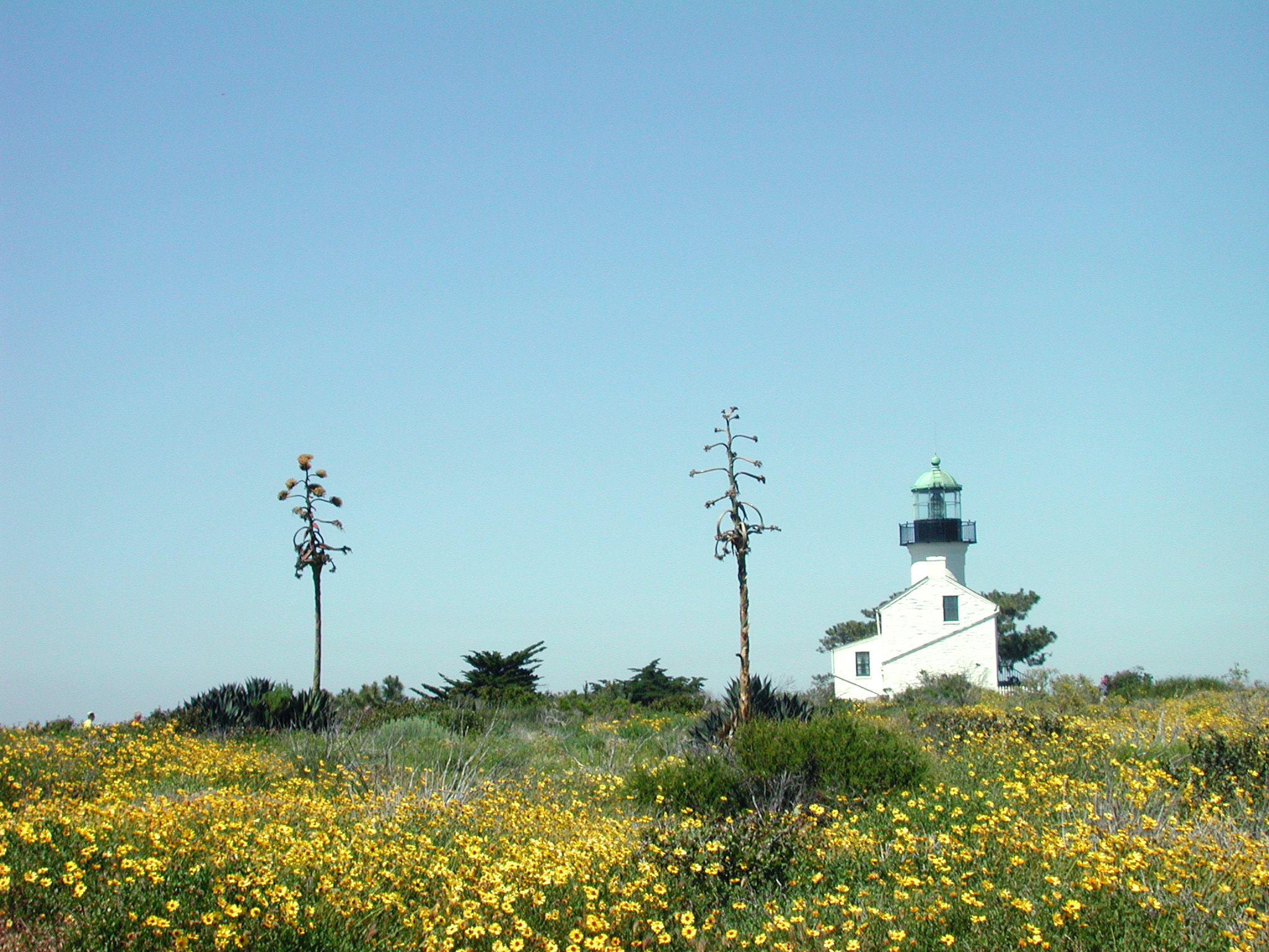 Nikon E990 sample photo. Lighthouse point loma photography