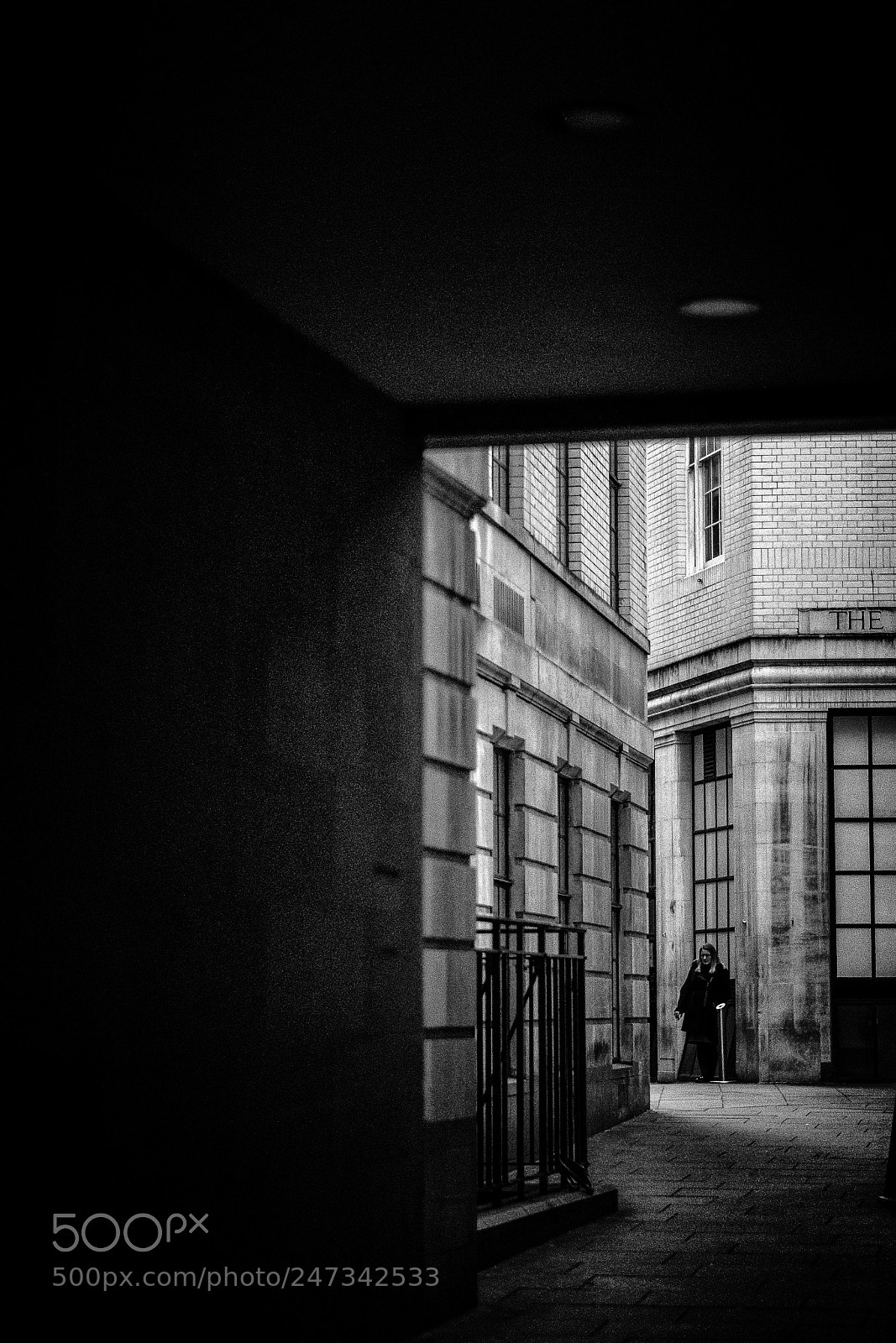 Fujifilm X-T2 sample photo. Hidden habit. photography