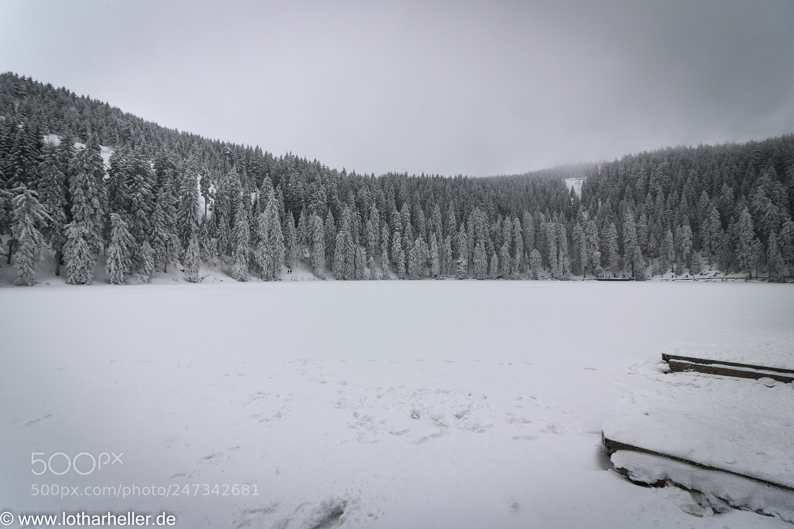Canon EOS 750D (EOS Rebel T6i / EOS Kiss X8i) sample photo. Schwarzwald winter photography