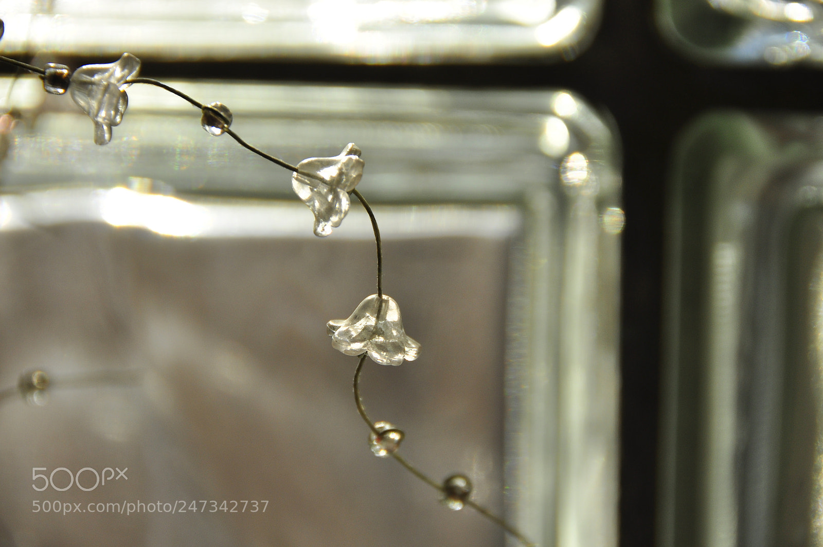 Nikon D90 sample photo. Babeddo photography