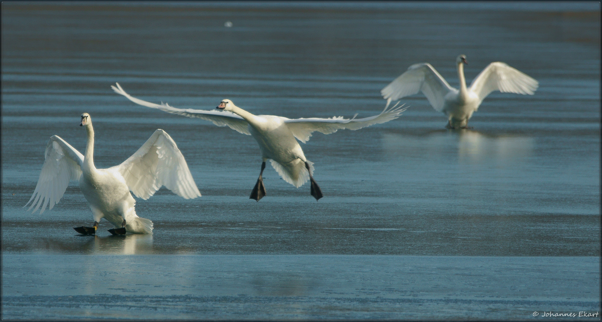 Sony SLT-A77 + Sony 70-400mm F4-5.6 G SSM sample photo. Landeanflug photography