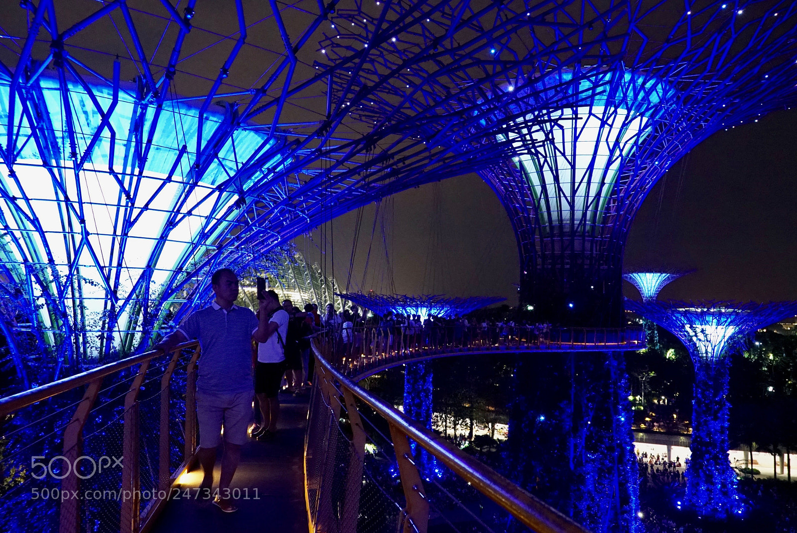 Sony a7S II sample photo. Canopy walk, garden by photography
