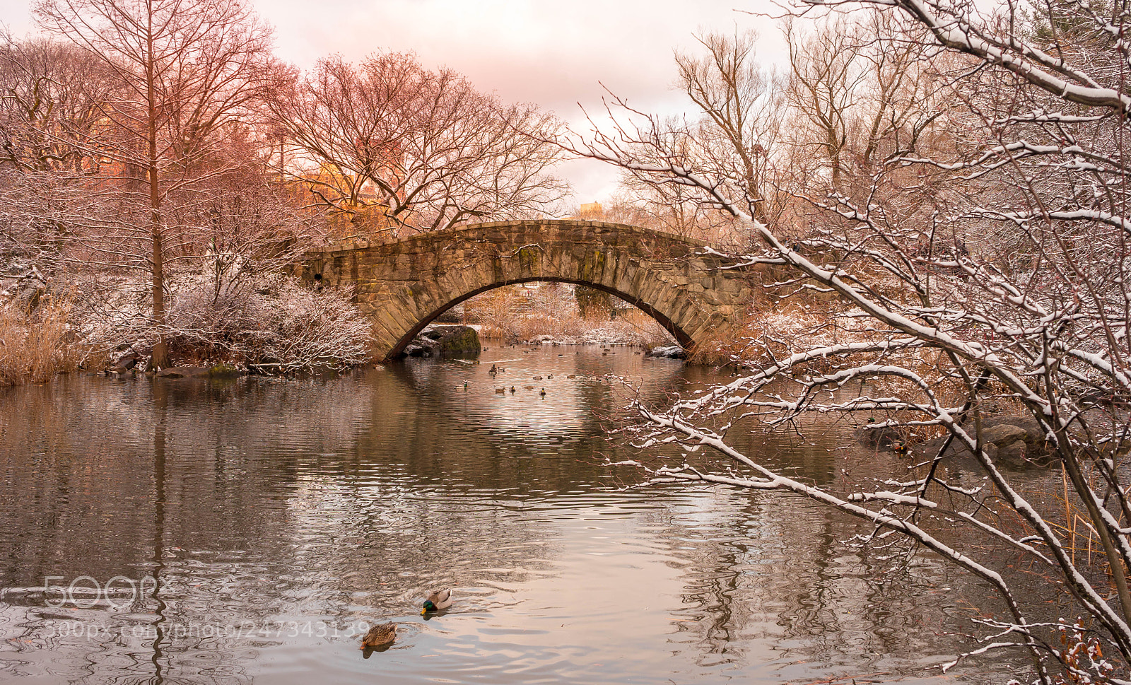 Sony a7 II sample photo. Gapstow bridge central park photography