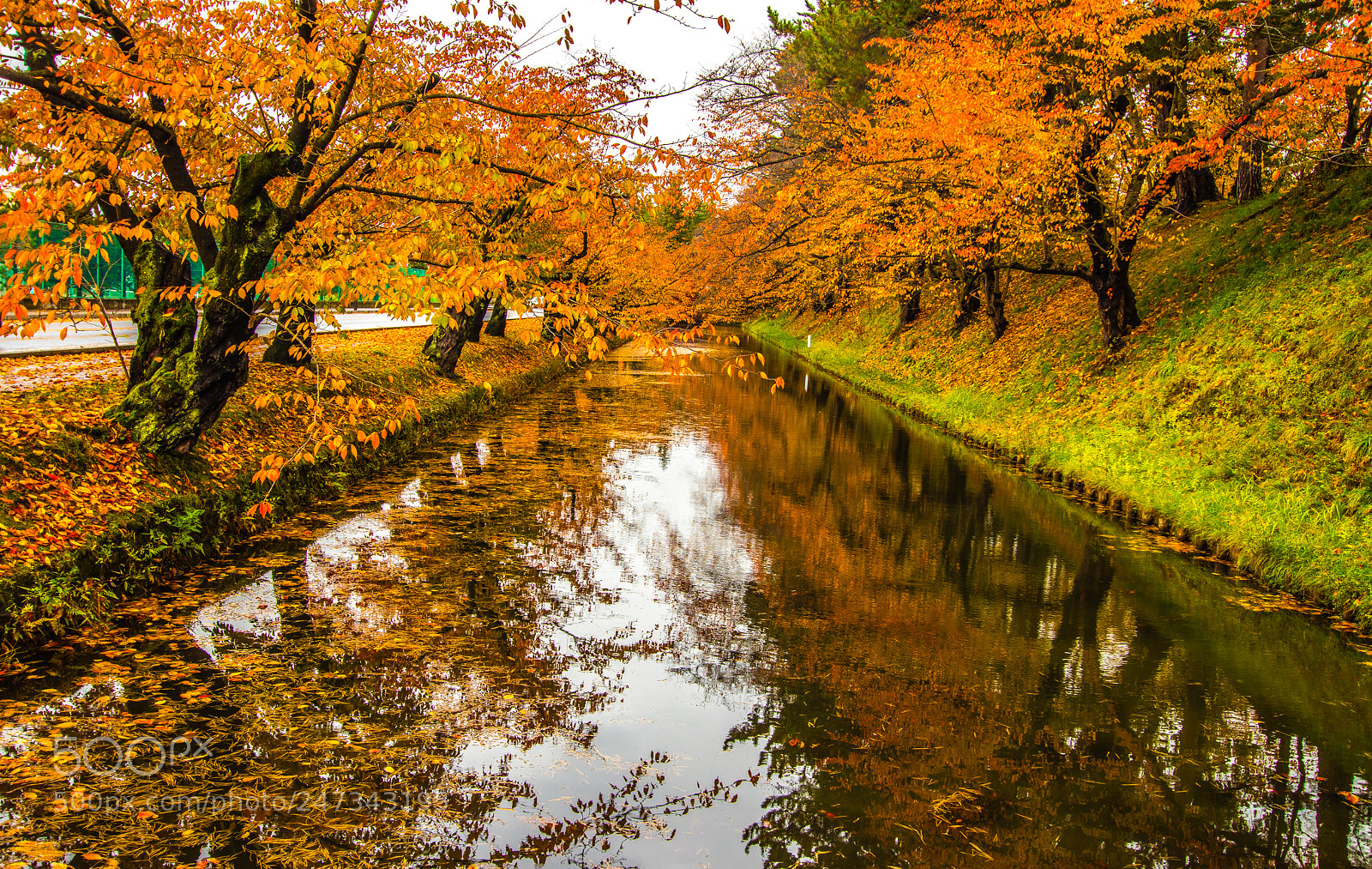 Canon EOS 77D (EOS 9000D / EOS 770D) sample photo. Fall outdoors photography