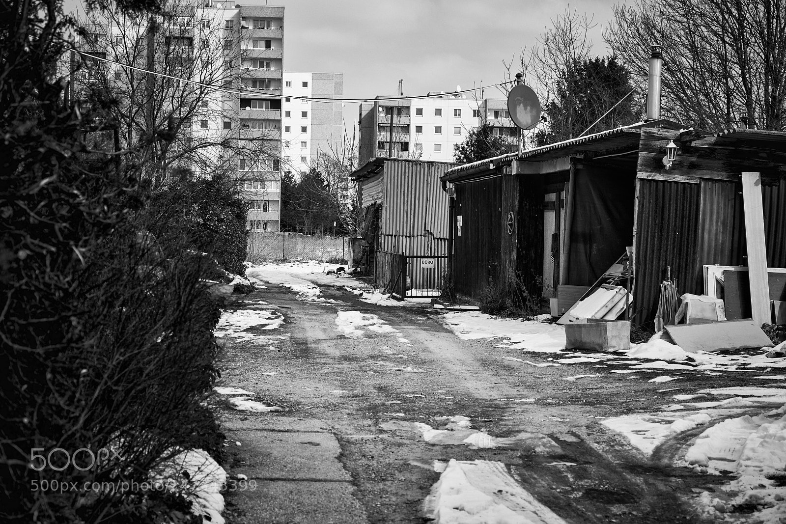 Sony a7R II sample photo. 2018_02_25 photography