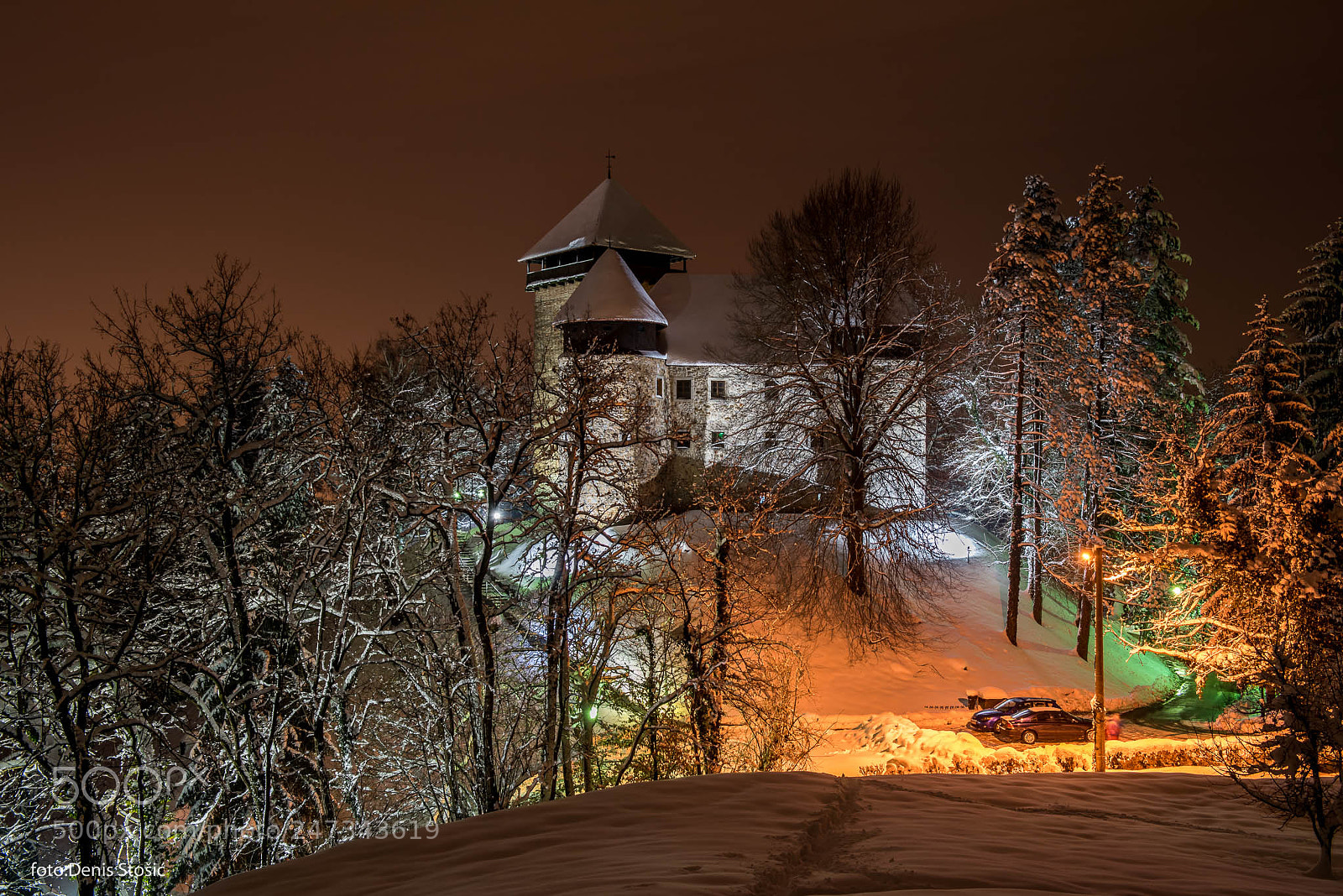 Nikon D810 sample photo. Dubovac castle 1 photography