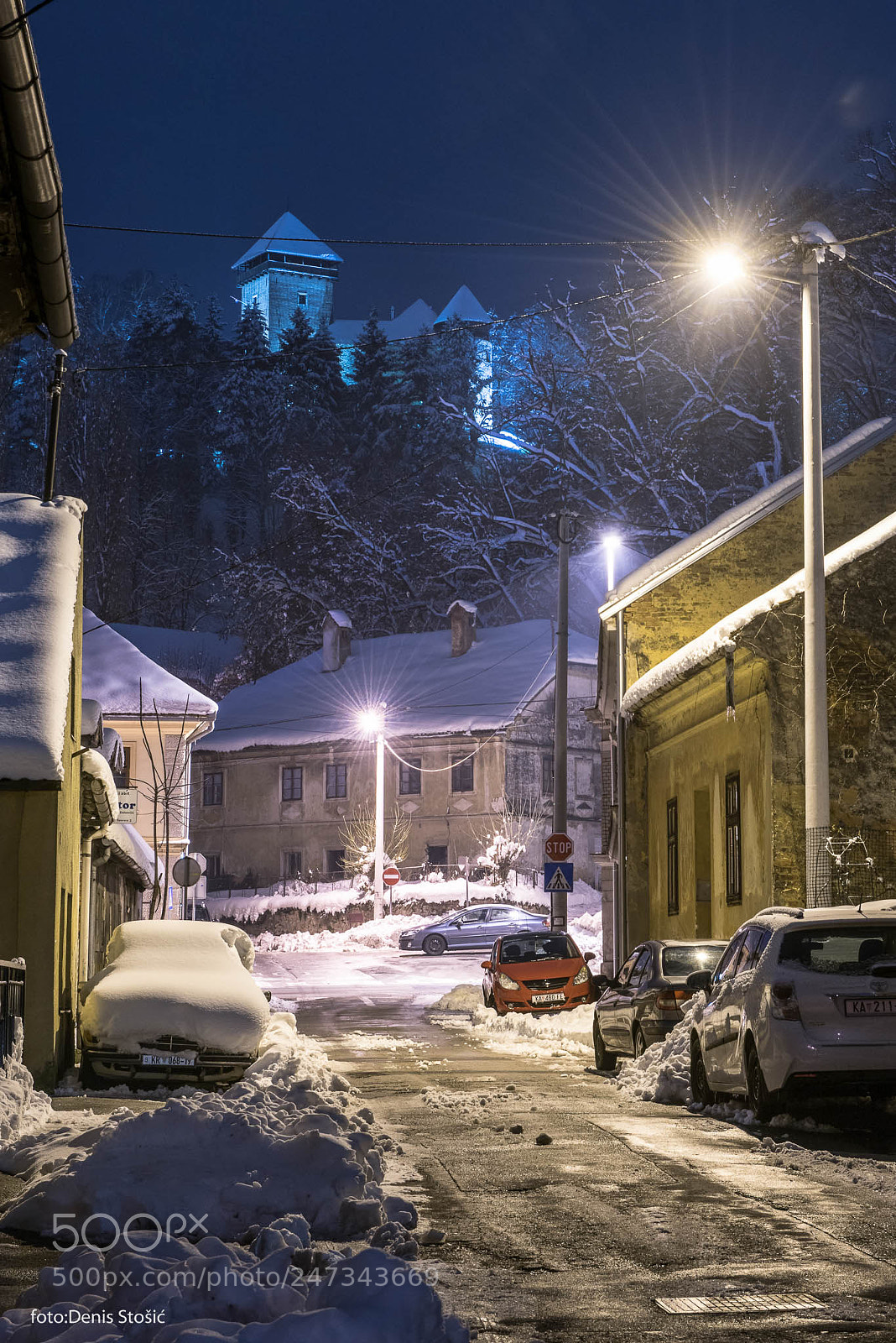 Nikon D810 sample photo. Dubovac castle 4 photography