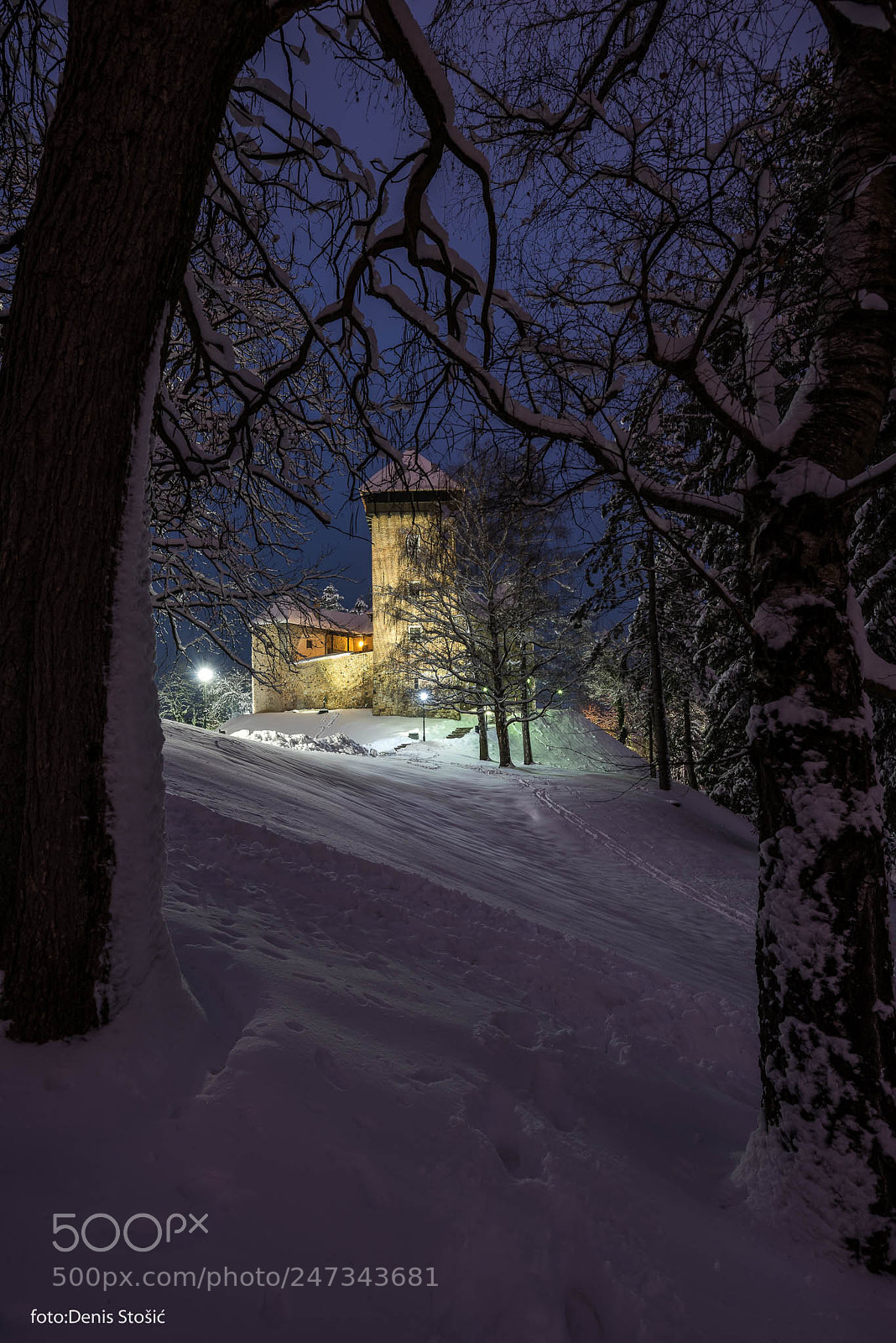 Nikon D810 sample photo. Dubovac castle 5 photography
