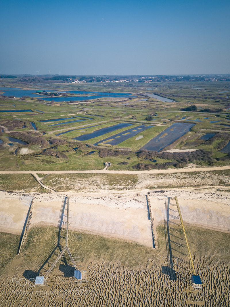 DJI FC220 sample photo. P cheries et marais photography