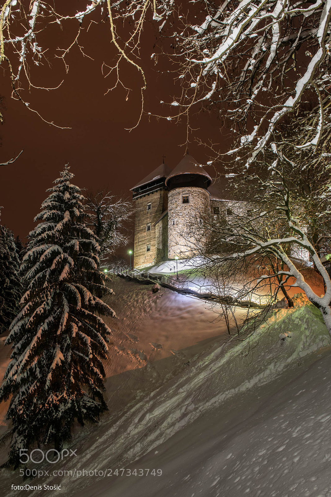 Nikon D810 sample photo. Dubovac castle 7 photography