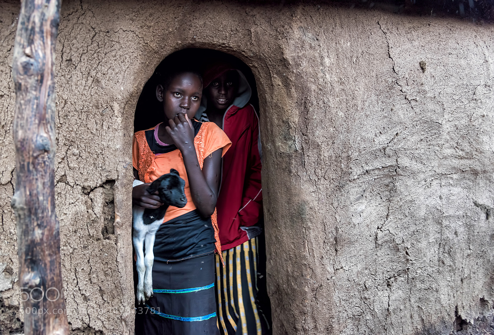 Nikon D810 sample photo. Masai girls with goat photography