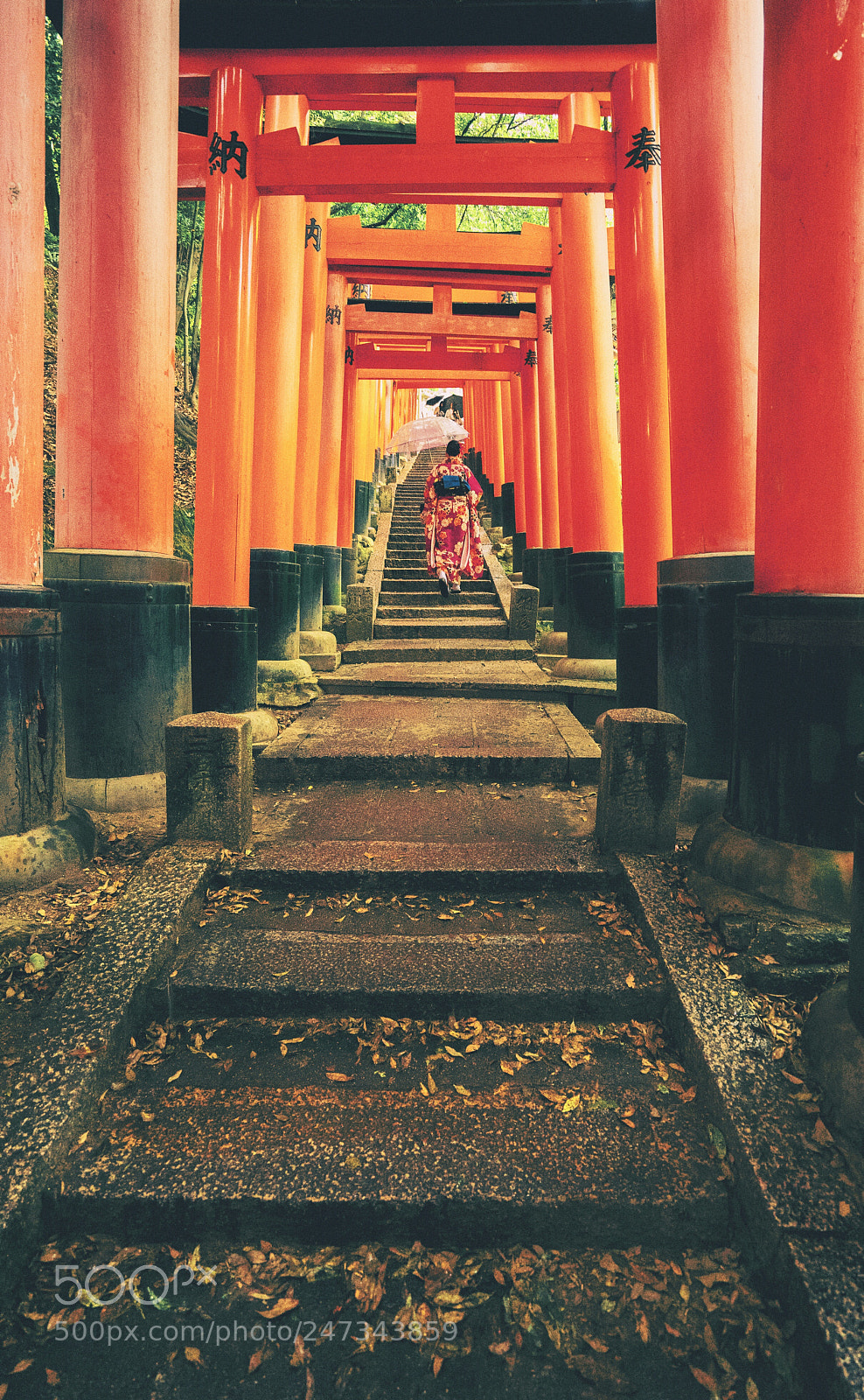 Sony a7 II sample photo. Fushimi inari taisha photography