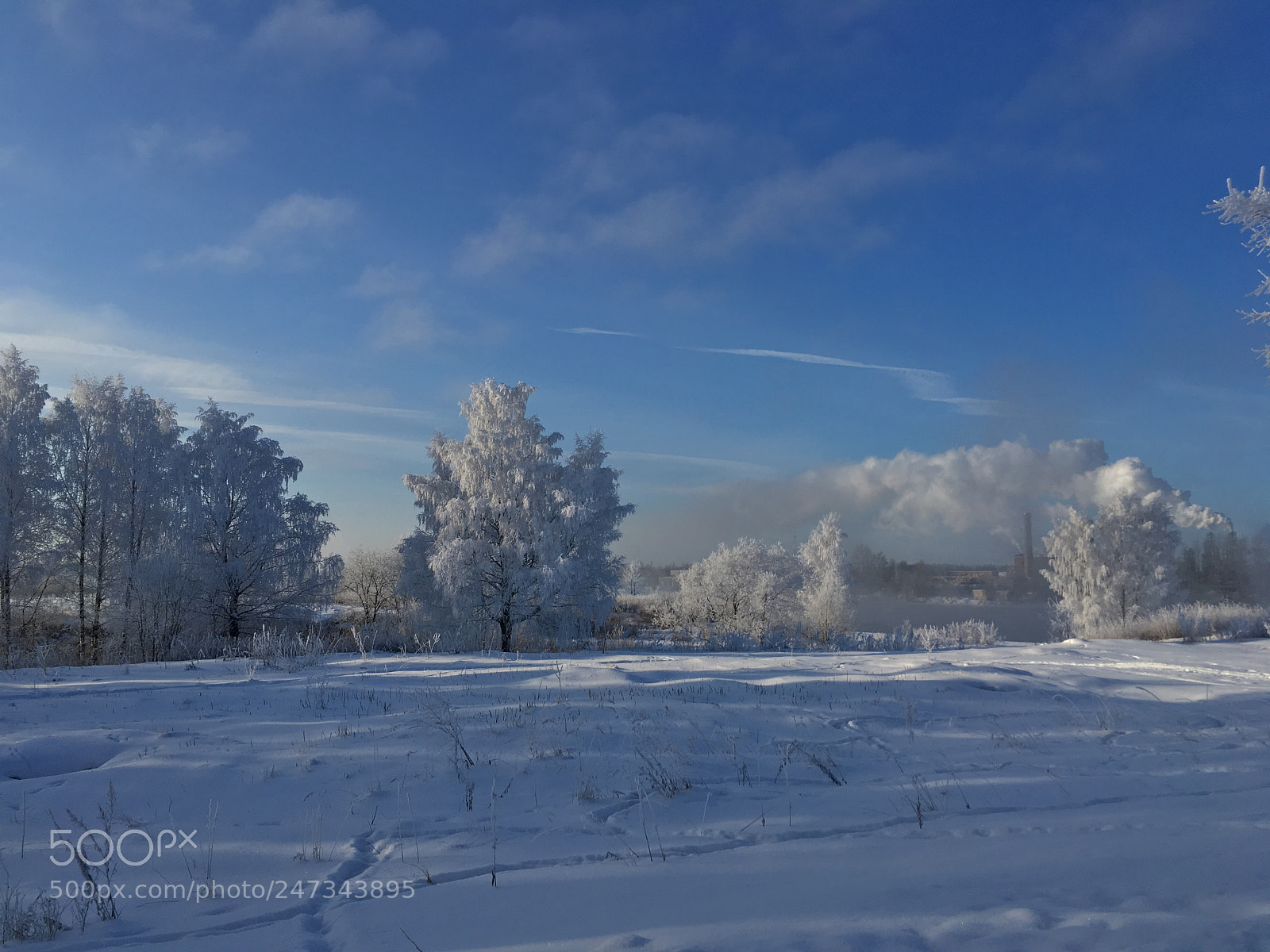 Apple iPhone SE sample photo. Winter morning / Зимнее утро photography
