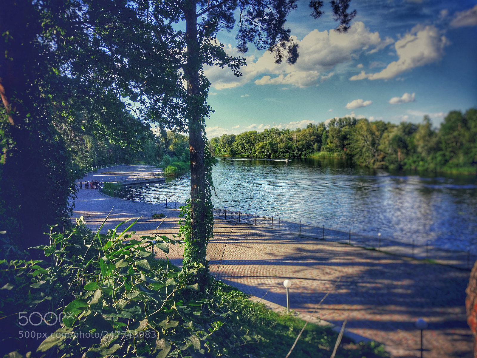 Xiaomi MI 5 sample photo. Untitled photography