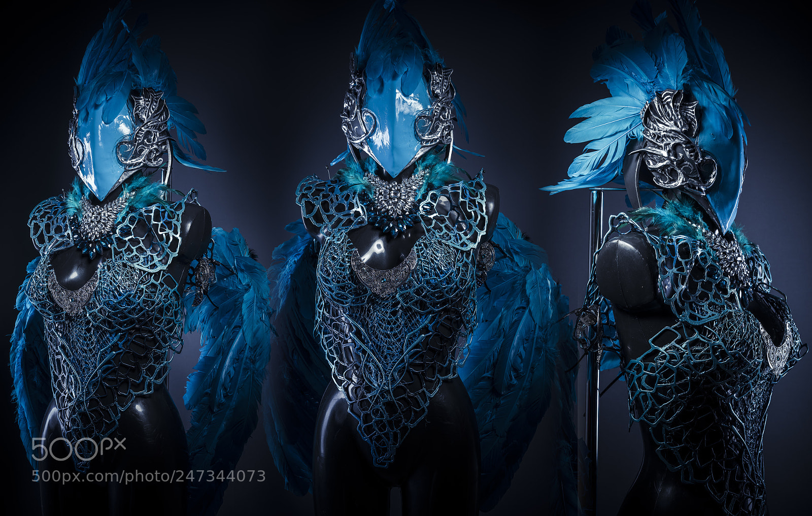 Sony a7 sample photo. Blue bird, gothic style photography