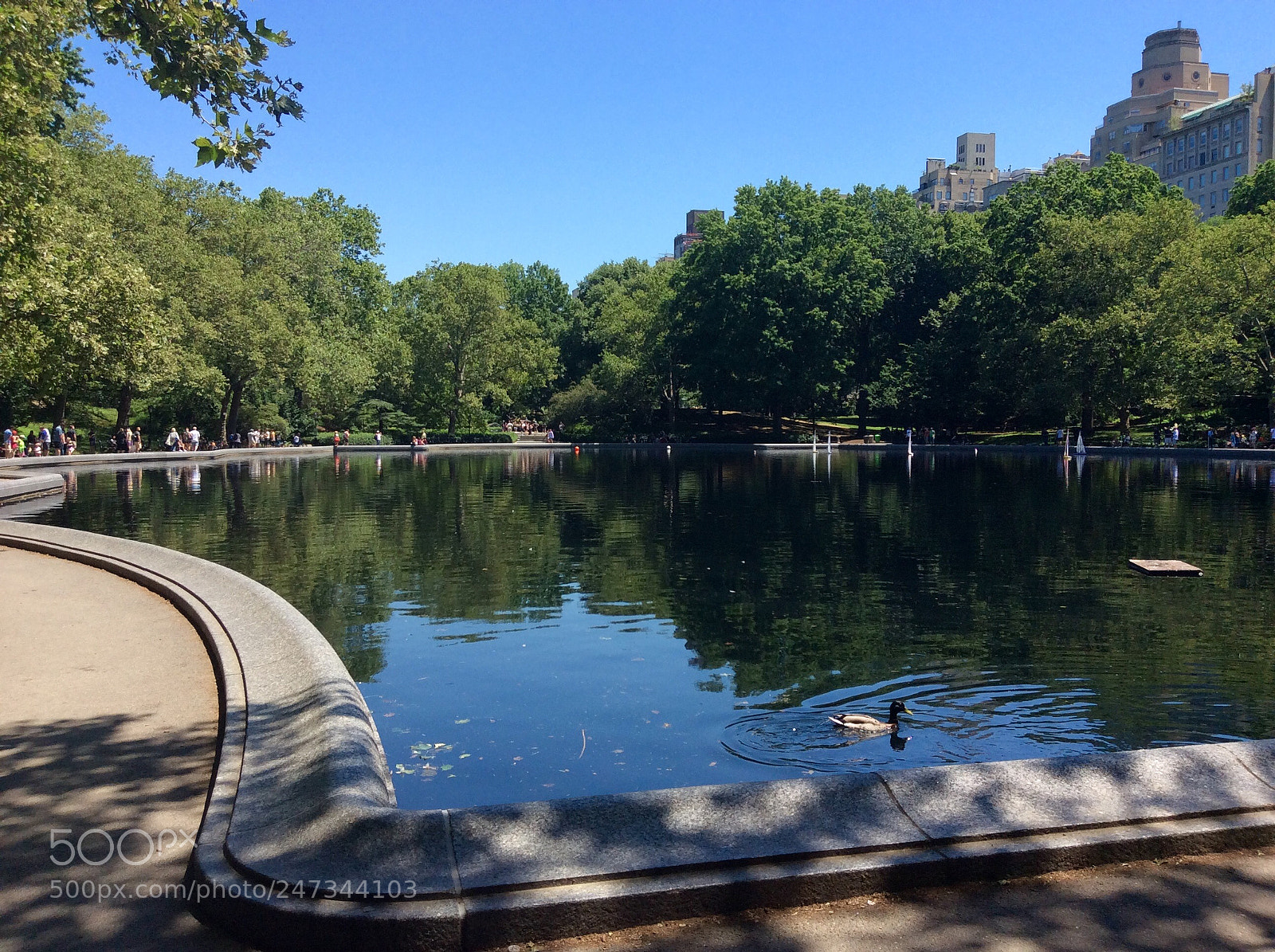 Apple iPad mini 2 sample photo. Central park in nyc photography