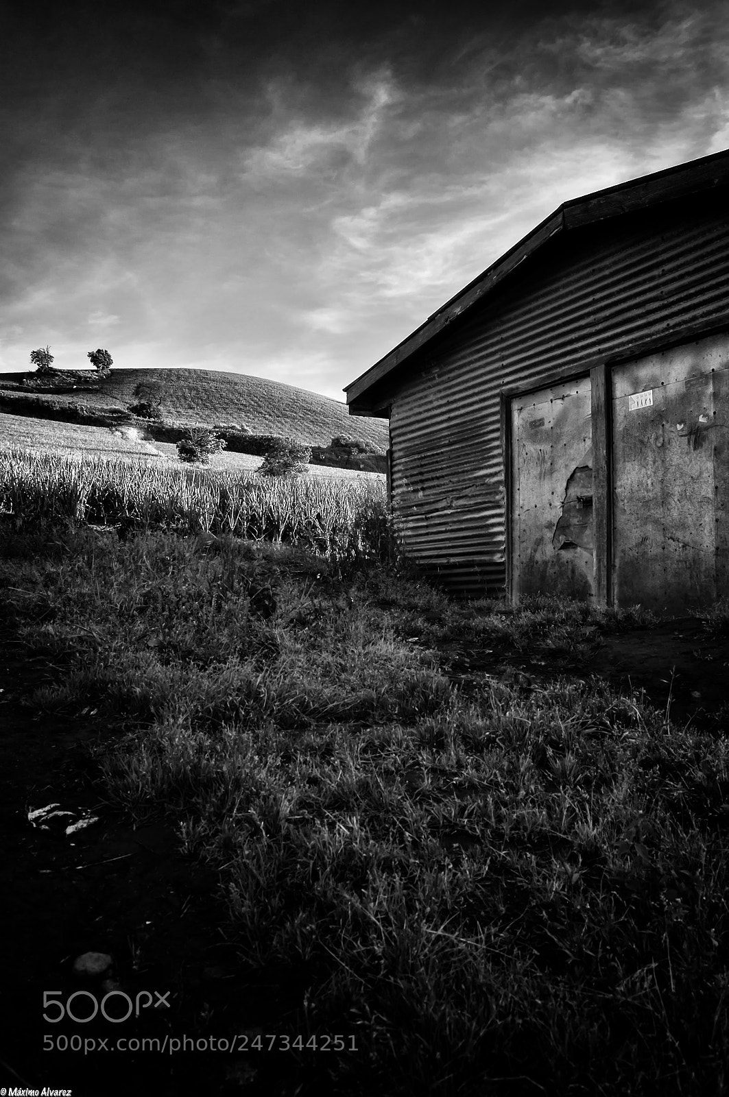 Nikon D5000 sample photo. Dawn photography