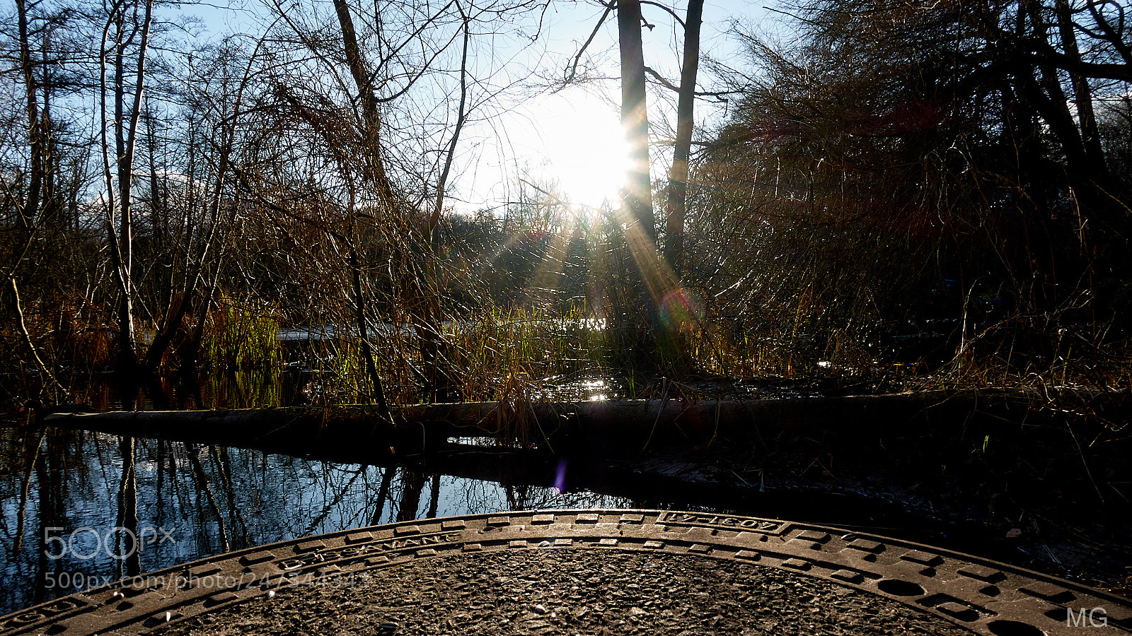 Sony DSC-RX100M5 sample photo. Hamburg stadtpark teich photography