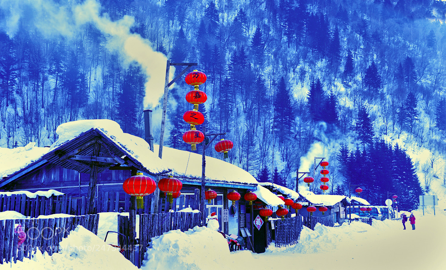 Nikon D800E sample photo. 雪乡人家飘灯笼 photography