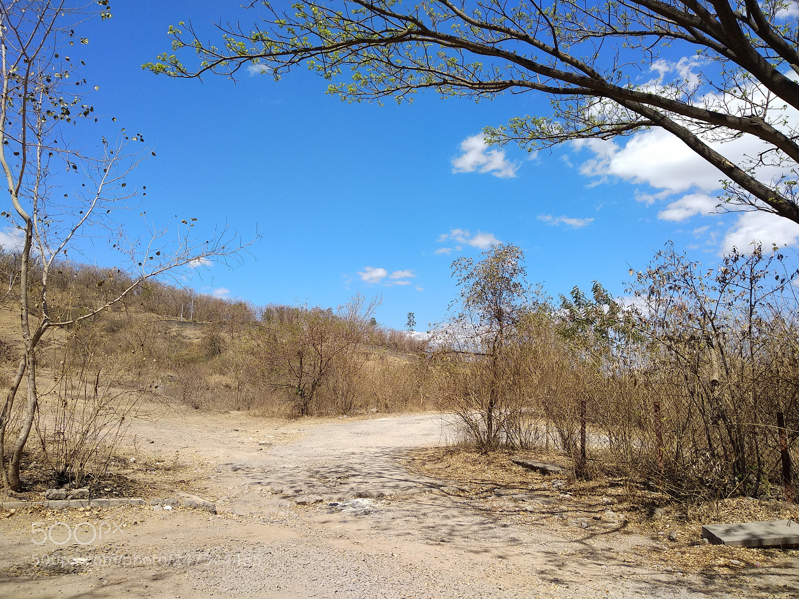 Xiaomi Mi A1 sample photo. Scenery photography
