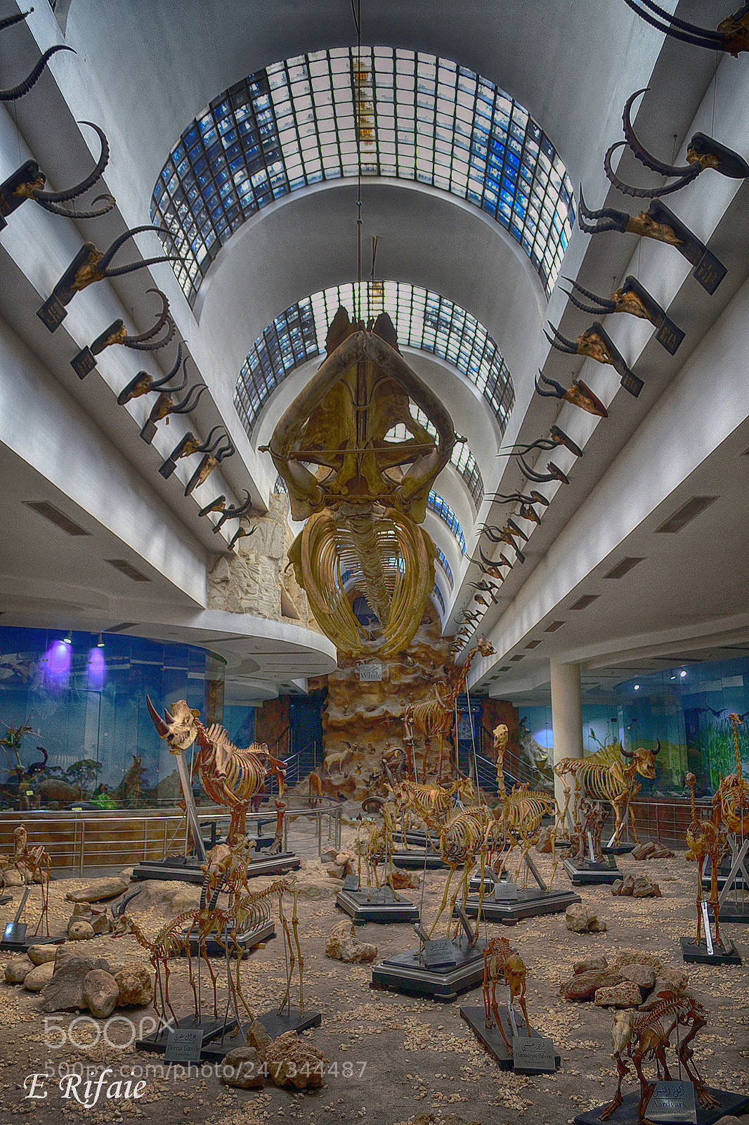 Nikon D7500 sample photo. Mummy museum photography