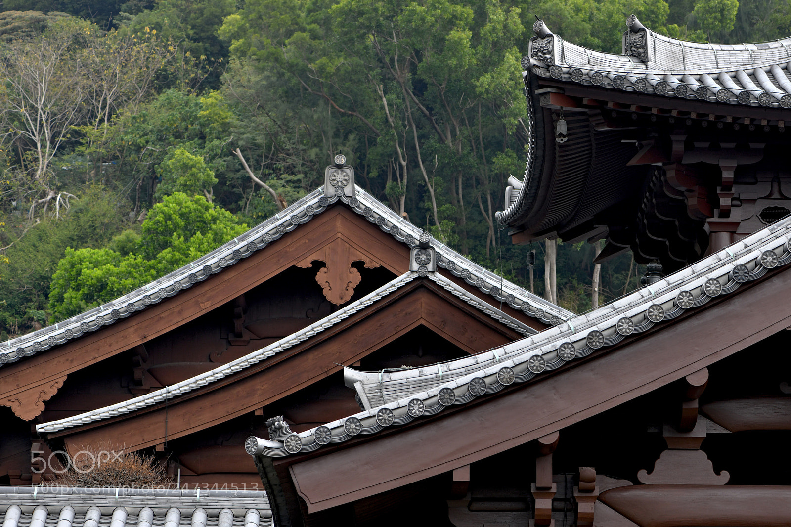 Nikon D850 sample photo. Chin lin nunnery photography