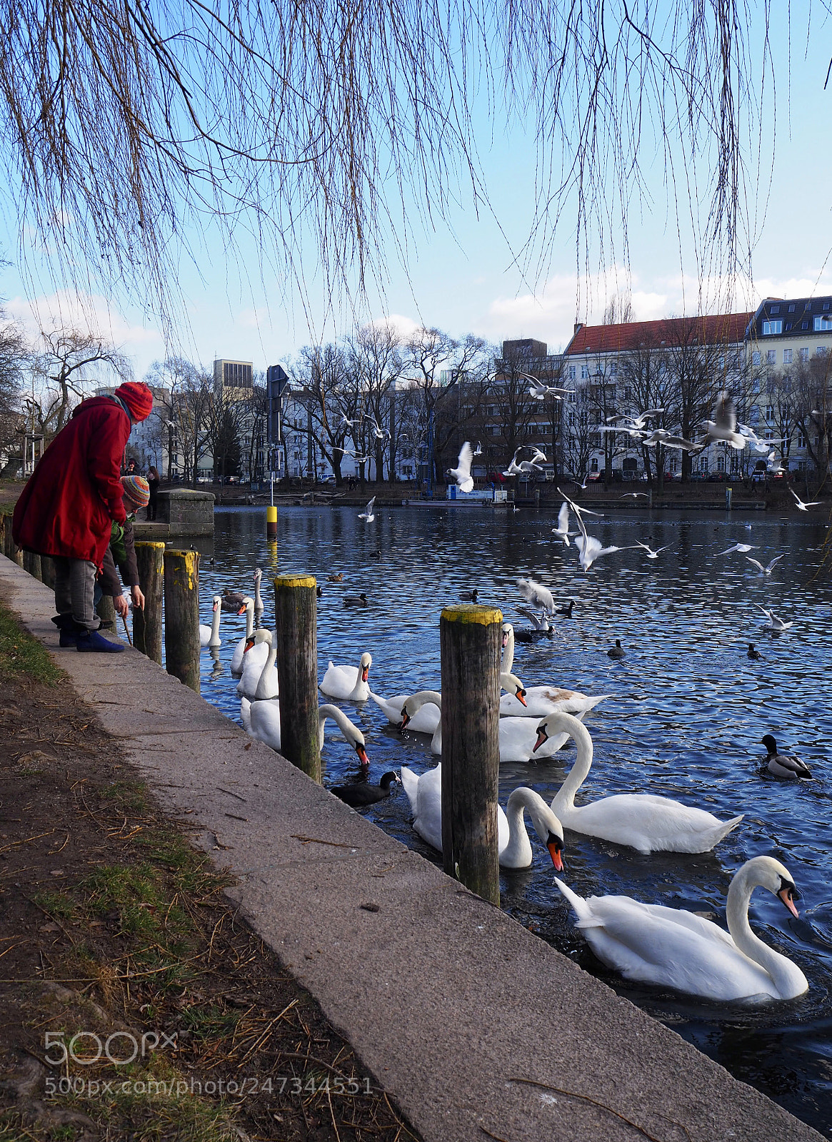Olympus OM-D E-M10 II sample photo. Berlin, 2018 photography