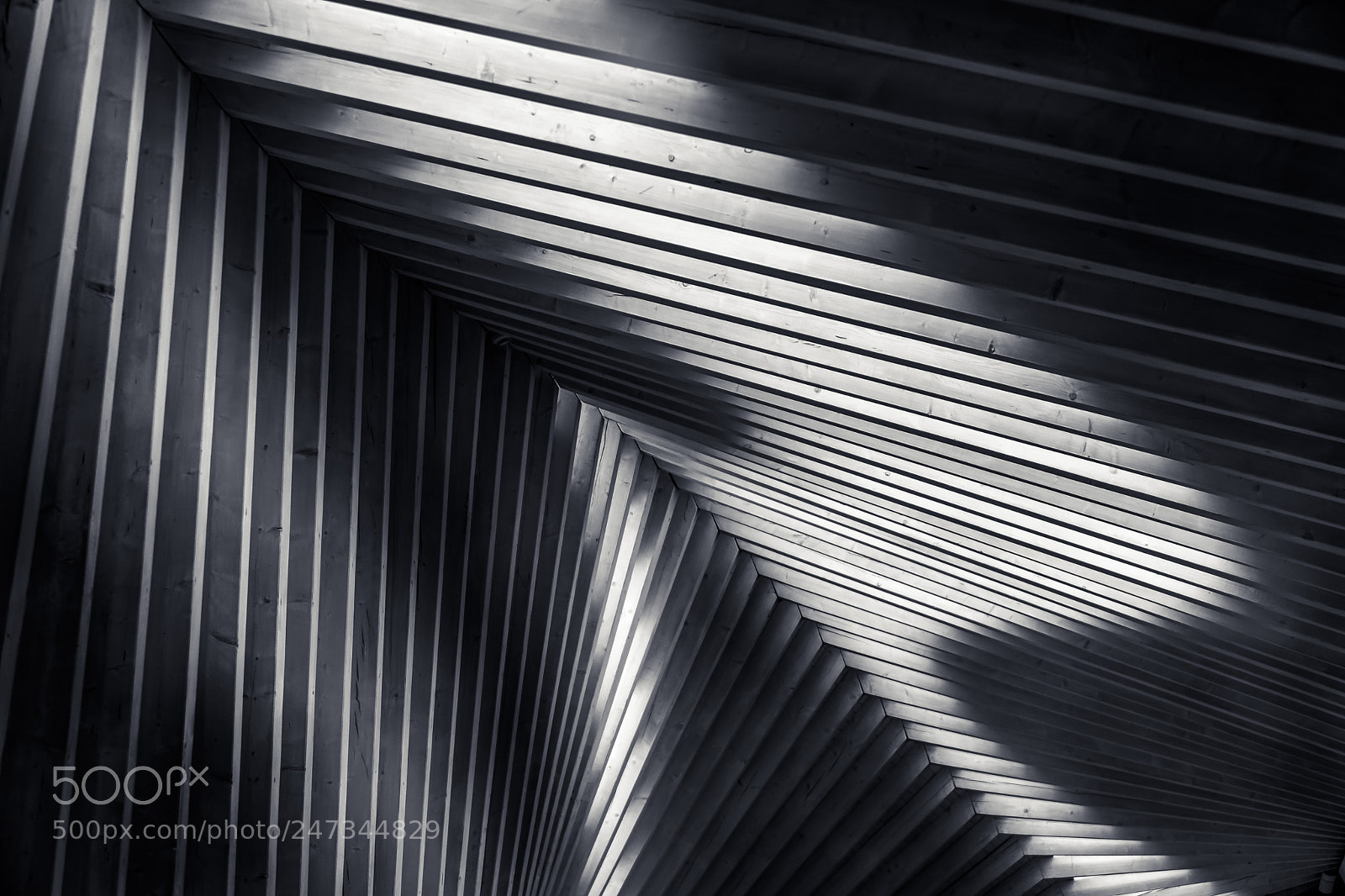 Sony a6300 sample photo. Wood and light photography