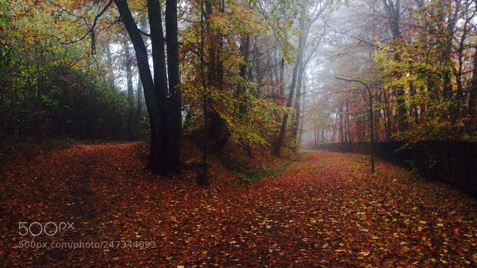 Apple iPhone 5 sample photo. Volksdorf hamburg going home photography