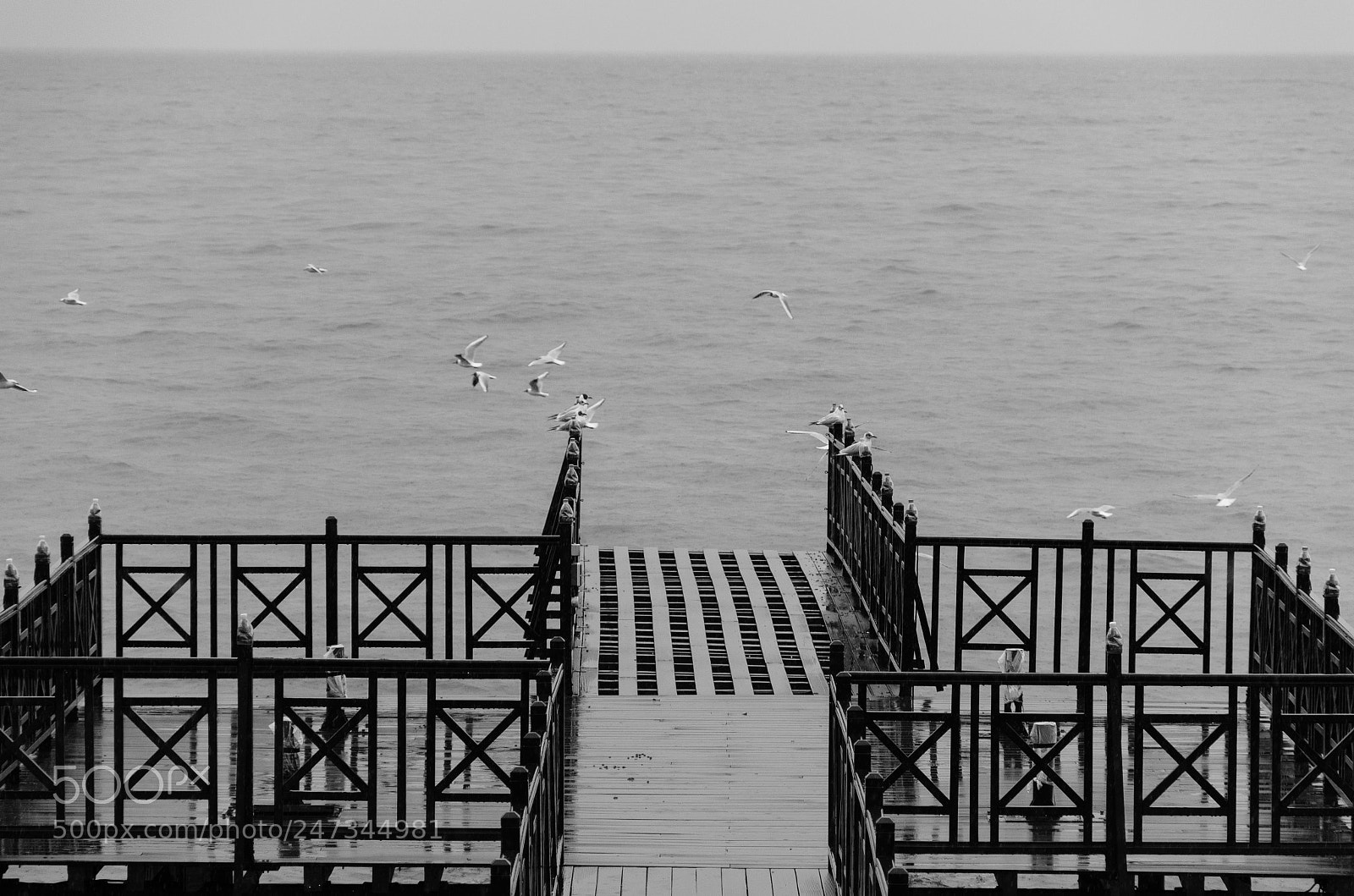 Nikon D5100 sample photo. Bridge overlooking the horizon photography