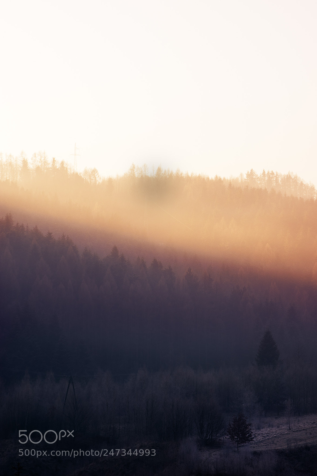 Pentax K-3 sample photo. Ray of light photography
