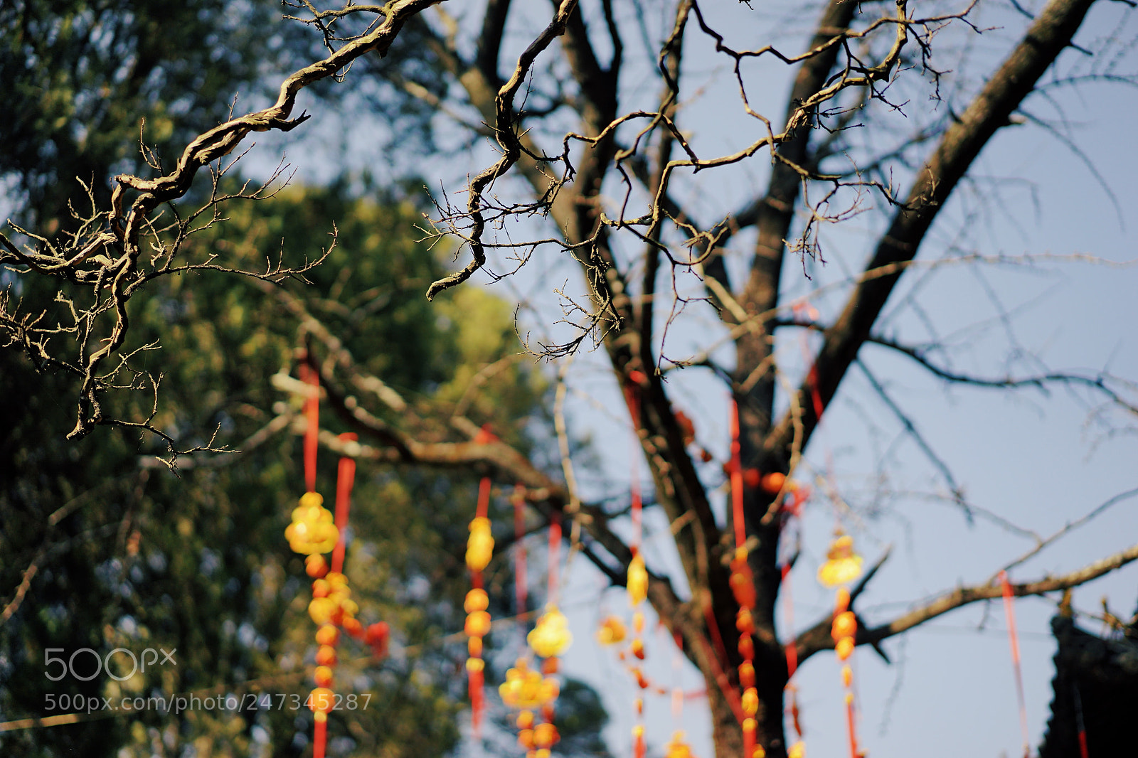 Sony a7 II sample photo. Just look at the photography