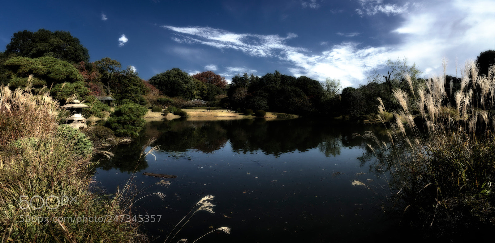 Apple iPhone 6 sample photo. Shinkuhu gyoen national park photography