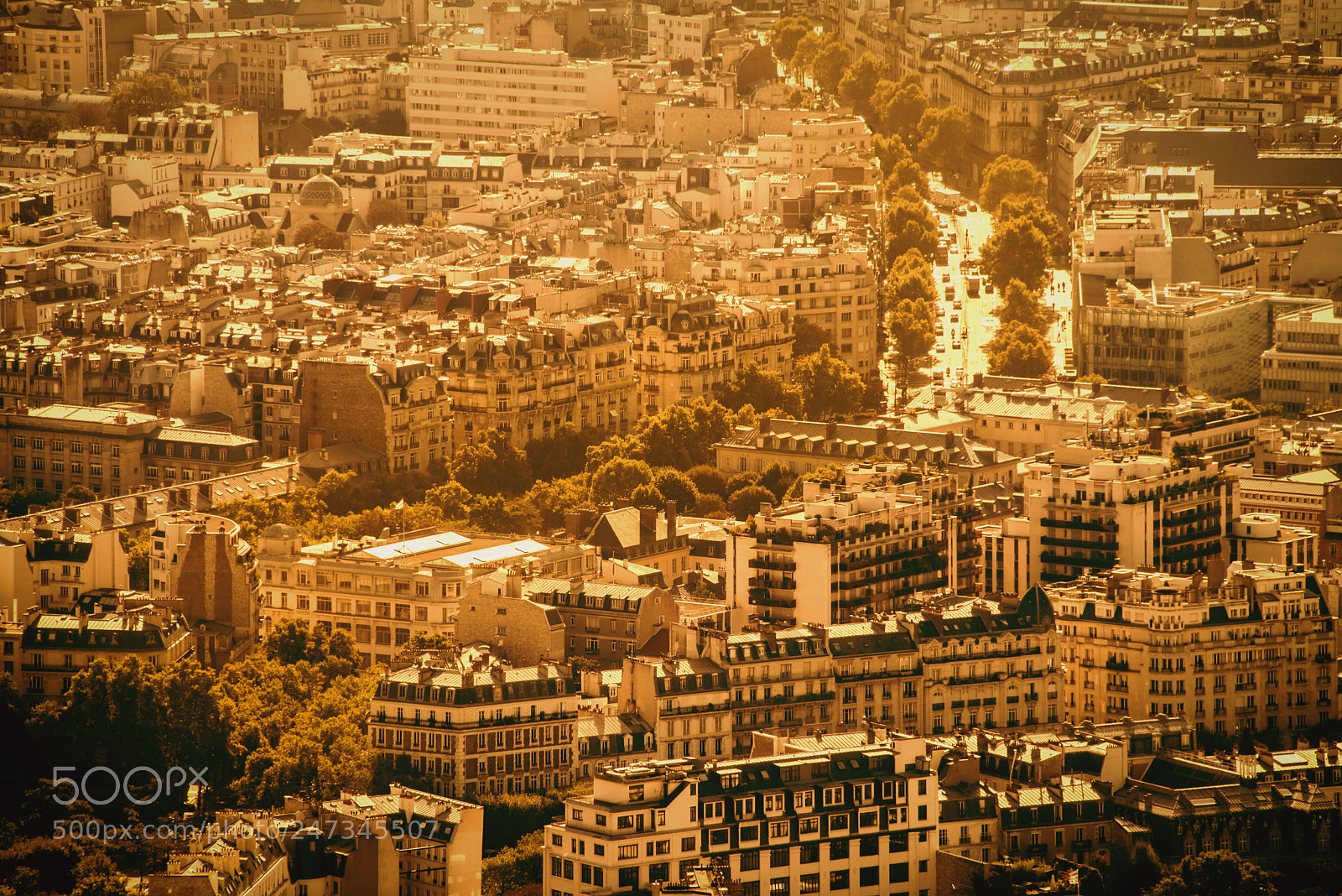 Nikon D800 sample photo. Paris photography