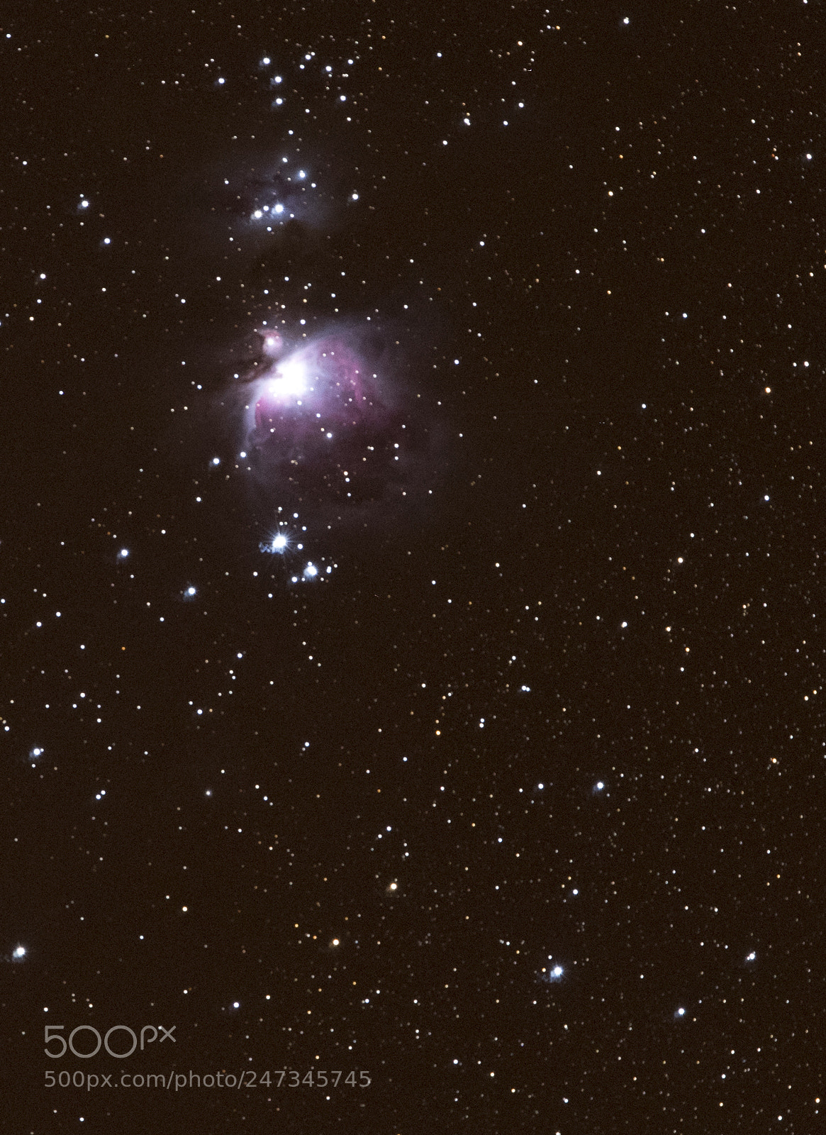 Nikon D810 sample photo. Orion's nebula photography