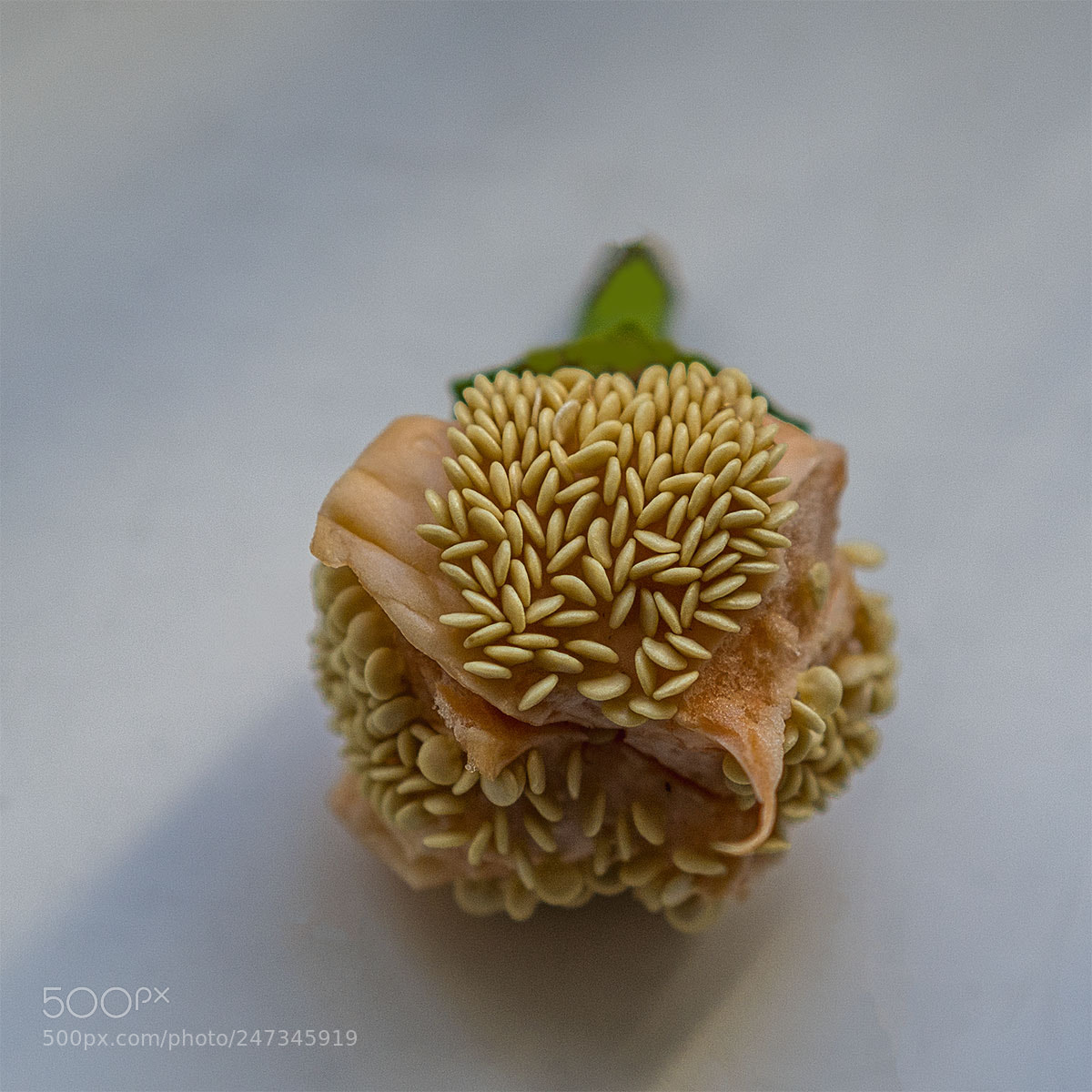 Sony a7R II sample photo. Paprika i photography