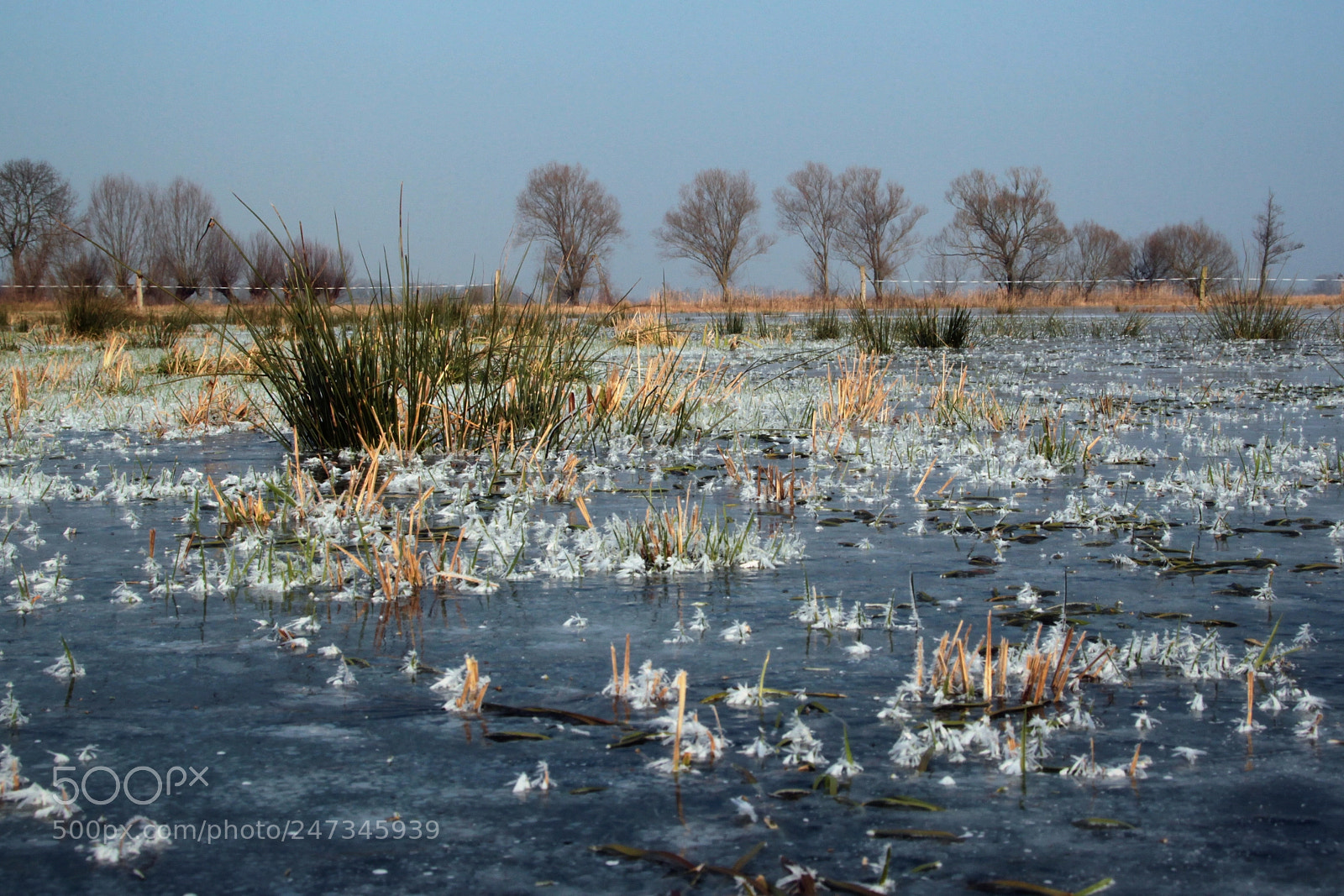 Canon EOS-1D Mark IV sample photo. Untitled photography