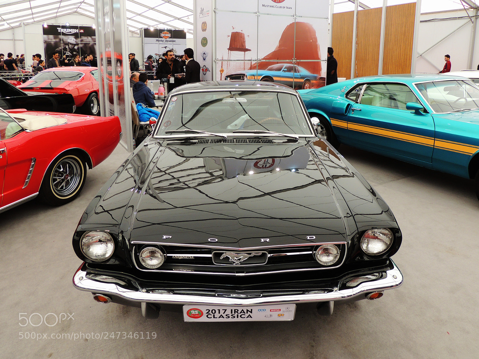 Nikon Coolpix P510 sample photo. Ford mustang first generation_1964–1966 photography